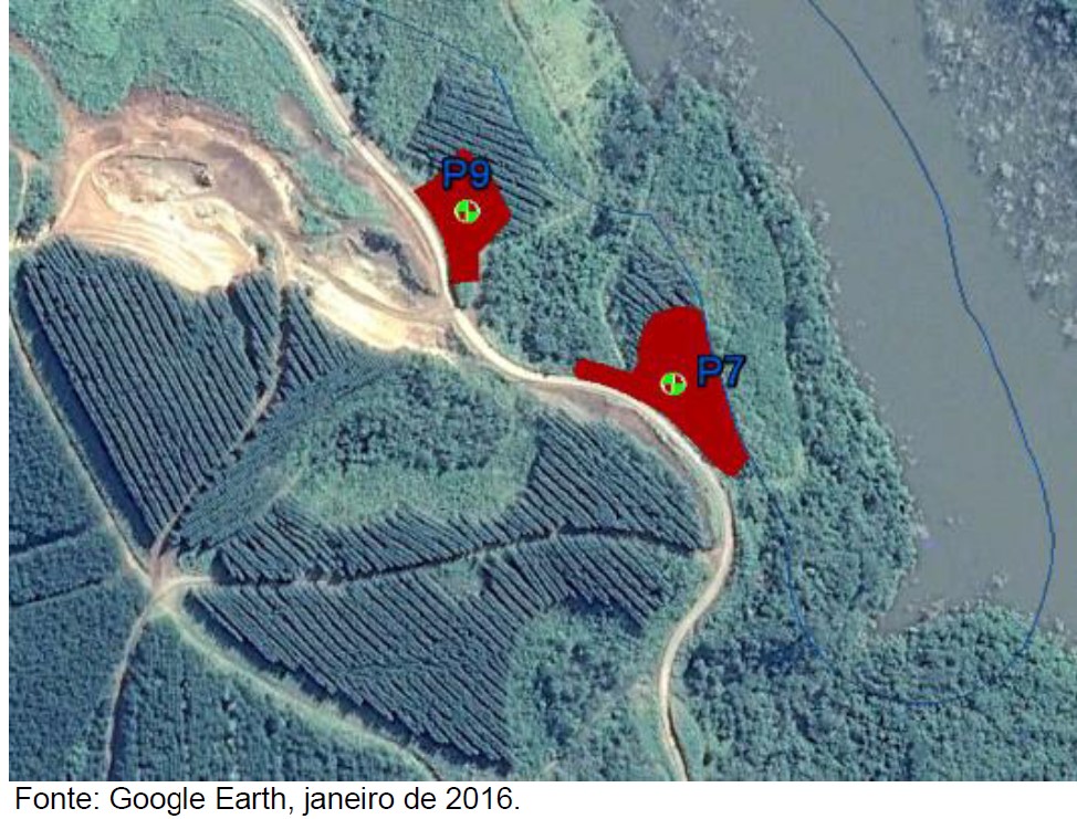 Paraná é premiado por projeto de recuperação de áreas degradadas. Foto:Copel