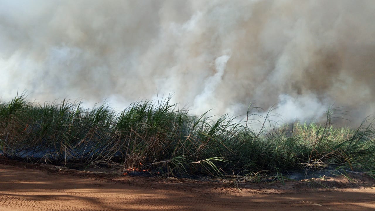 Paraná suspende por 30 dias queimada de cana-de-açúcar. Foto:SEDEST