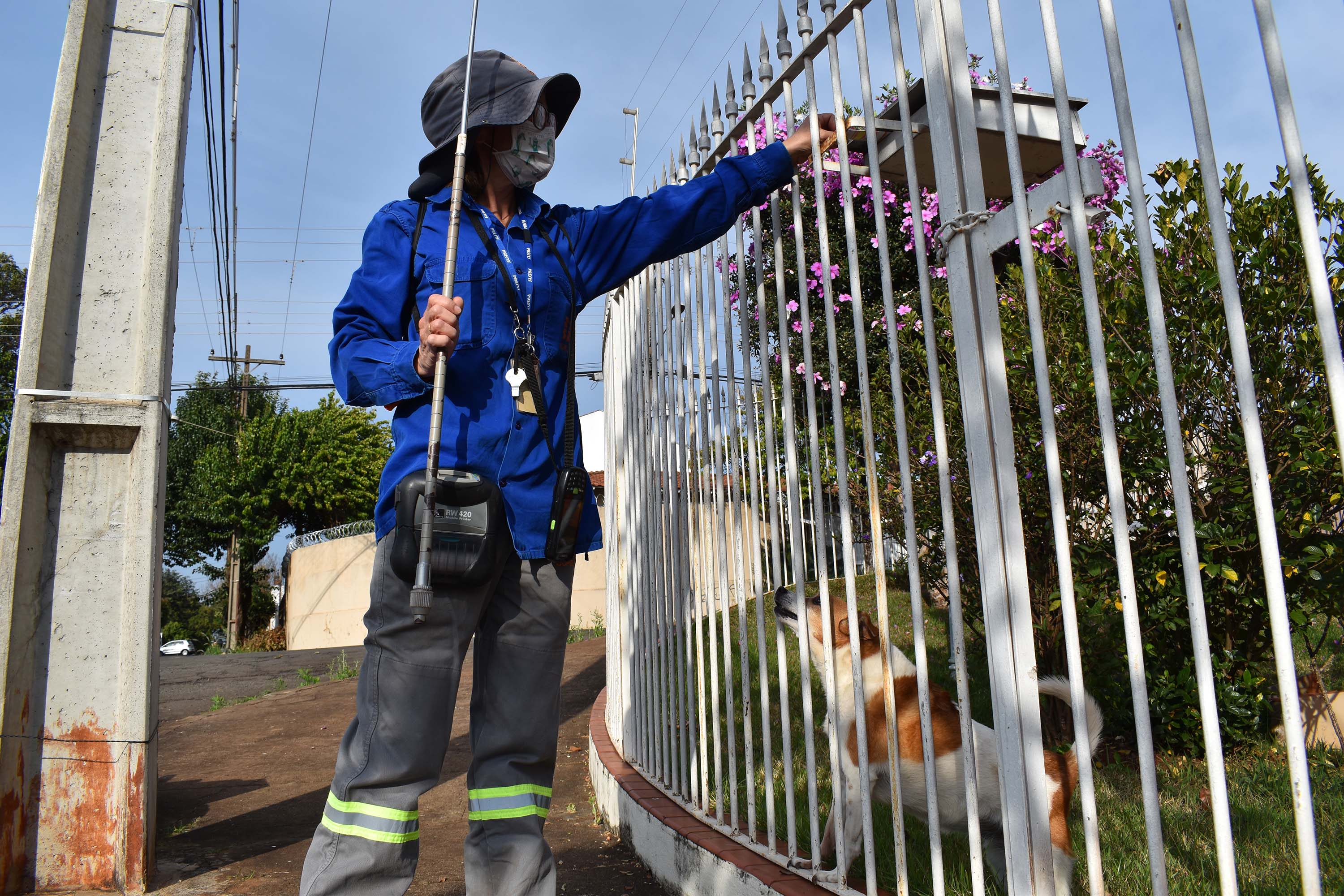 Copel alerta sobre cuidados com cães. Foto: Copel