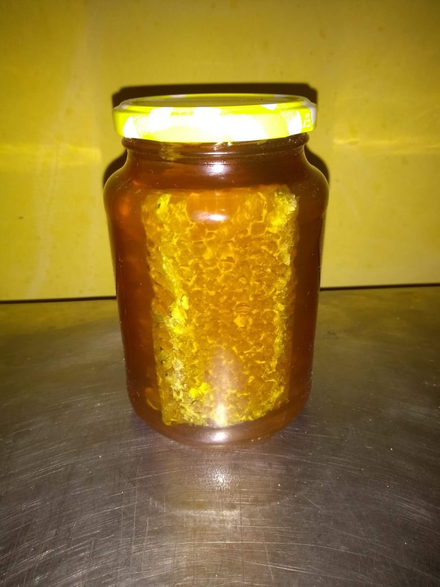 FOTO:Rafael de Almeida Monteiro Cropolato/Arquivo pessoal