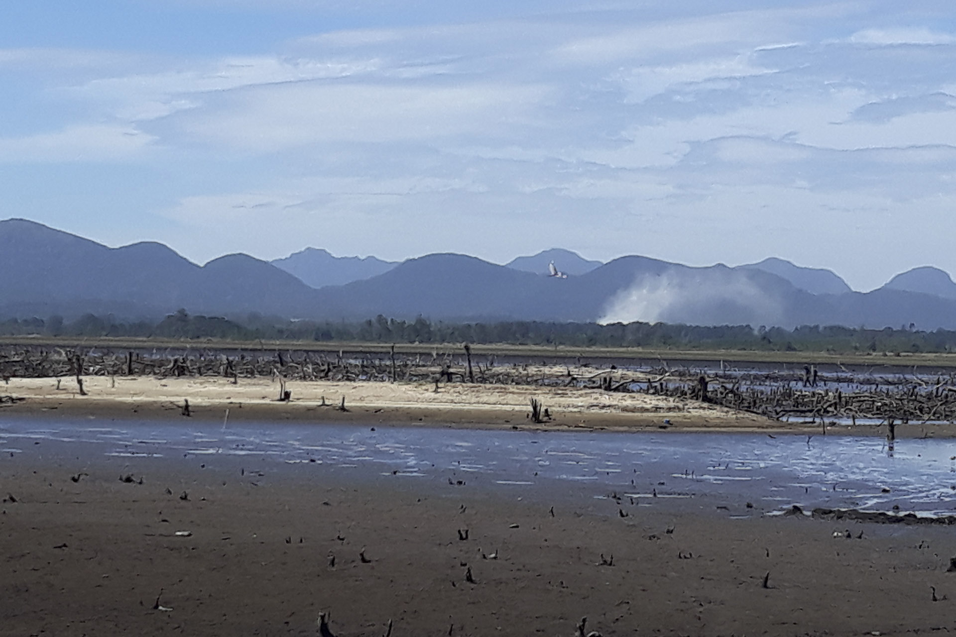 Incêndio em área de manancial tem prioridade dos bombeiros. Foto: Sanepar