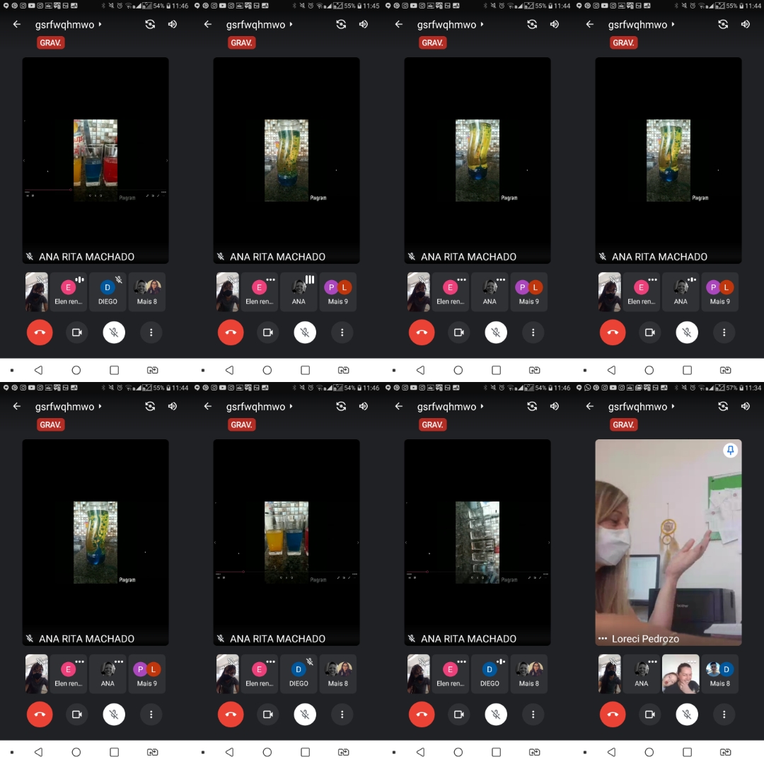 Colégios adaptam feira de ciências para ambiente virtual. Foto:SEED