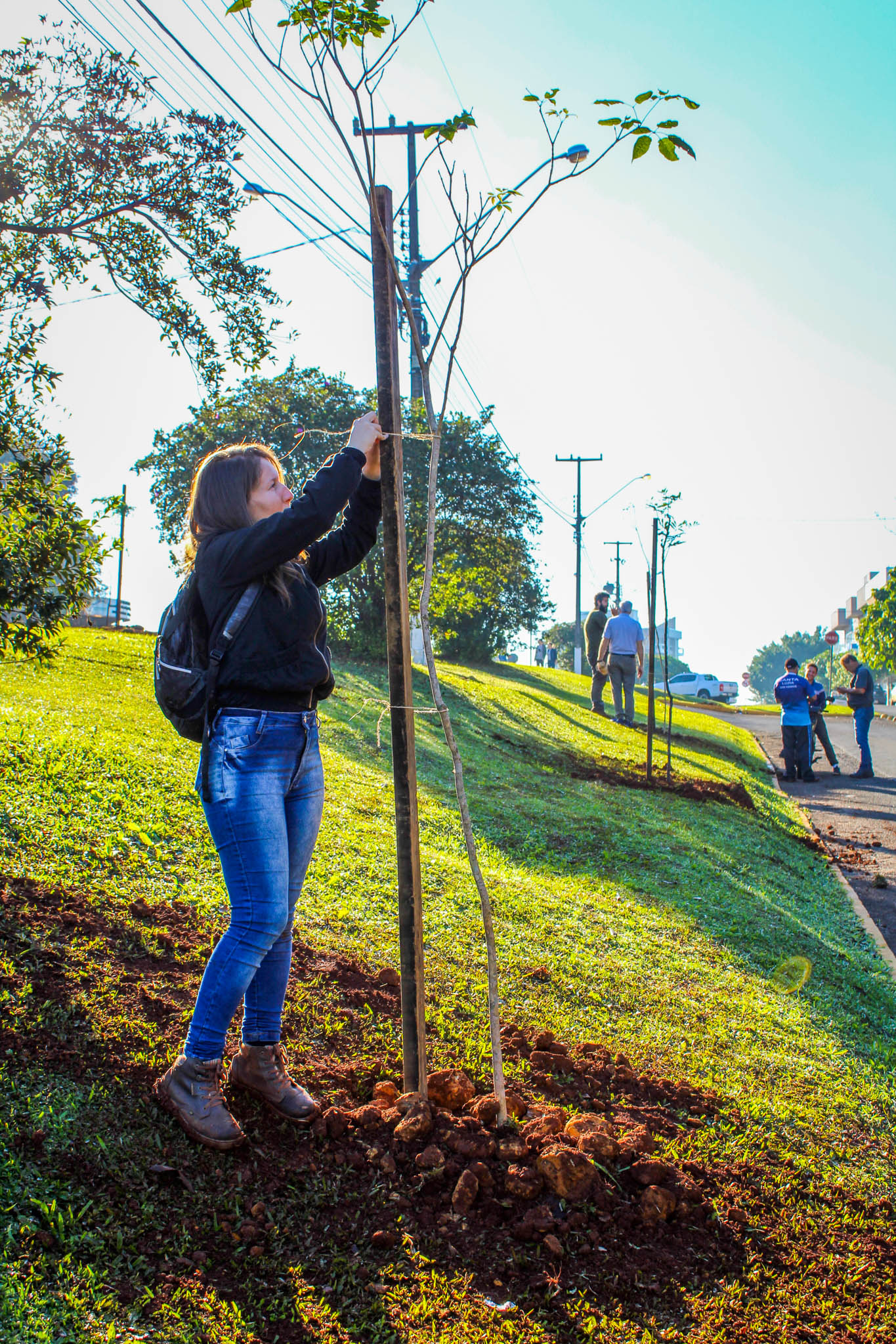 Programa da Copel incentiva arborização dos municípios
.Foto:Copel