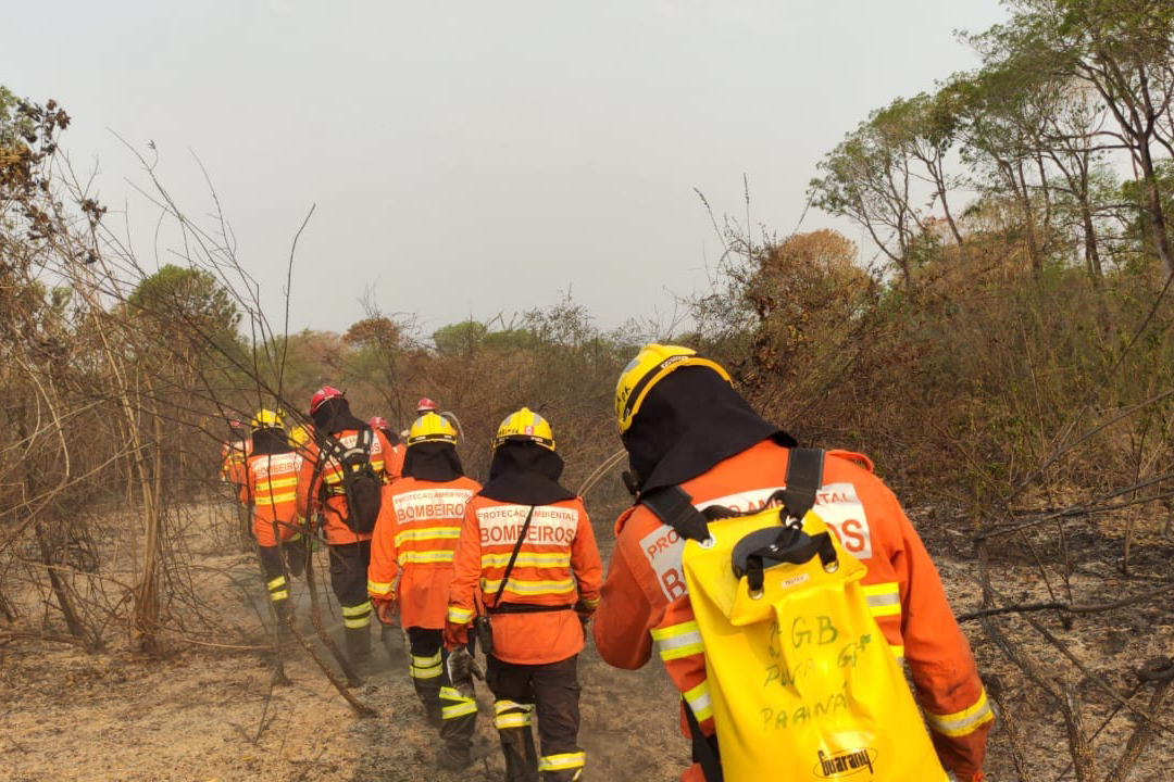 Bombeiros do Paraná completam dez dias de combate a incêndios no Pantanal
. Foto: Corpo de Bombeiros