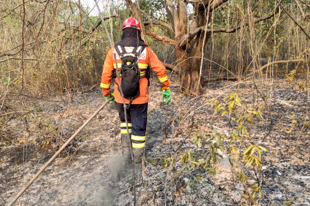 Bombeiros do Paraná completam dez dias de combate a incêndios no Pantanal
. Foto: Corpo de Bombeiros