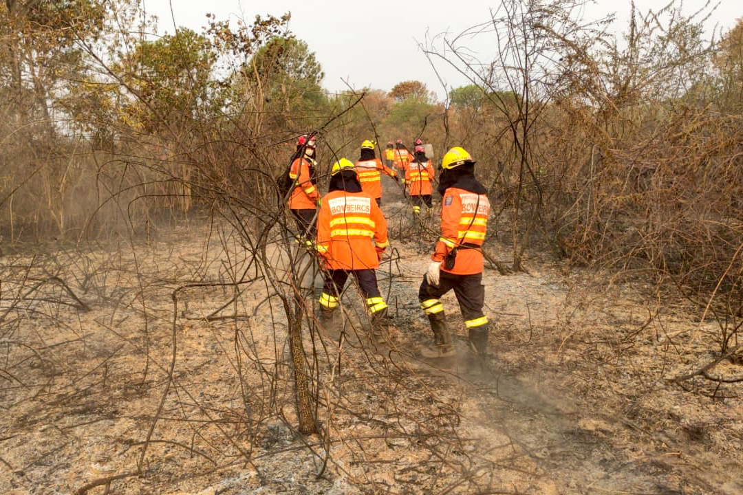 Bombeiros do Paraná completam dez dias de combate a incêndios no Pantanal
. Foto: Corpo de Bombeiros