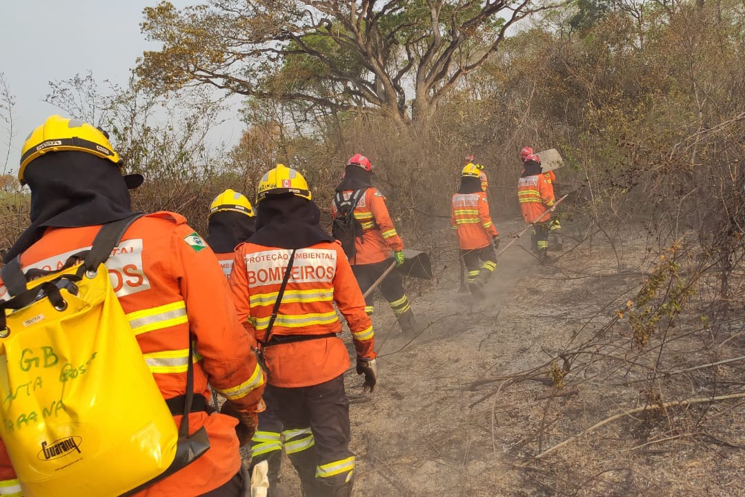 Bombeiros do Paraná completam dez dias de combate a incêndios no Pantanal
. Foto: Corpo de Bombeiros