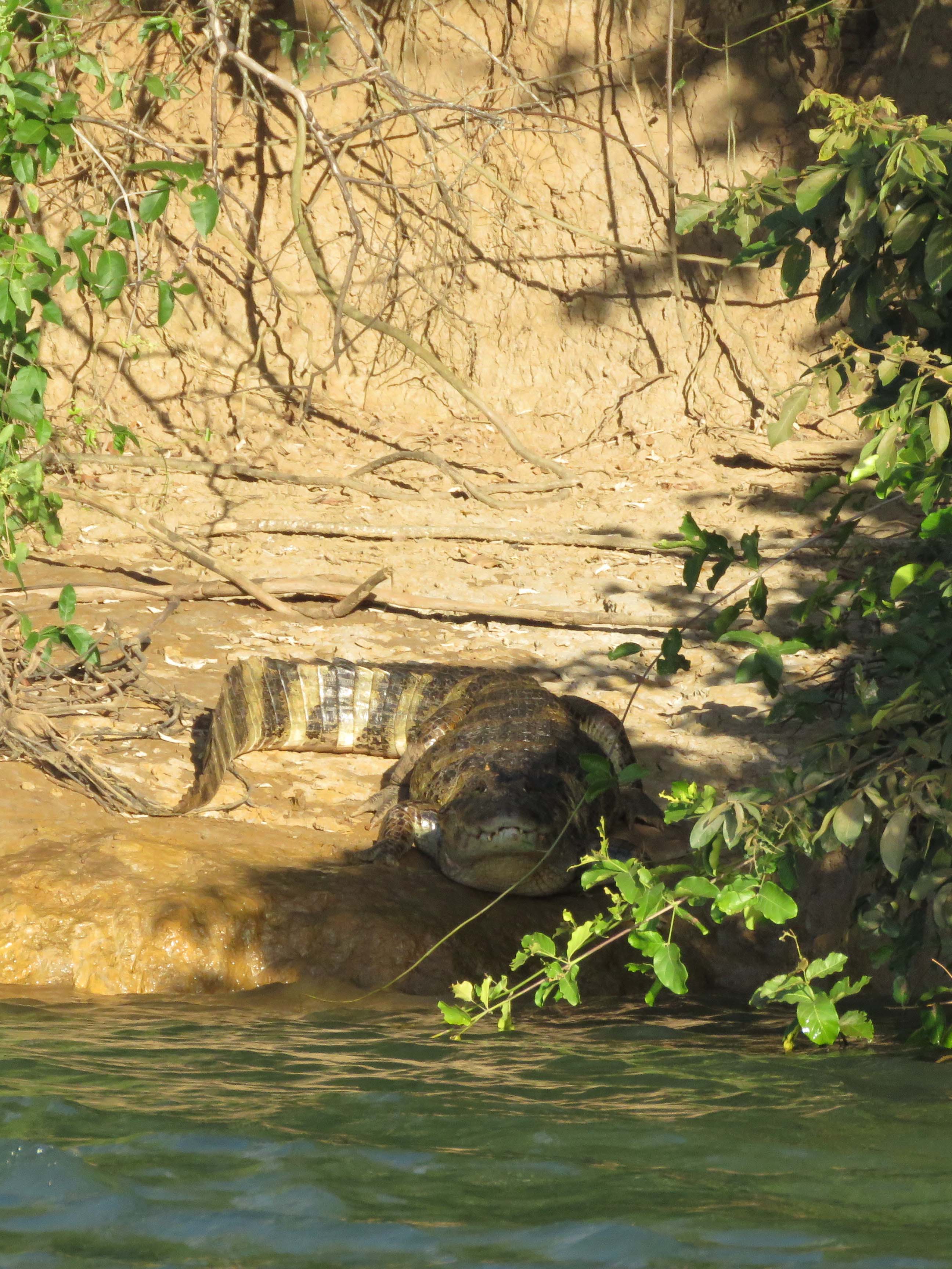 A Rota dos Pioneiros, a maior trilha aquática do Brasil e que deve ser tornar a maior do mundo, está retomando suas atividades. O grupo de voluntários responsável pela demarcação da rota ao longo do Rio Paraná e de seus afluentes voltou a fazer a sinalização do percurso, depois de uma interrupção de sete meses por causa da pandemia do novo coronavírus. Alguns passeios de caiaque pelo rio também voltaram a ser oferecidos por guias locais. Foto: Erick Caldas Xavier