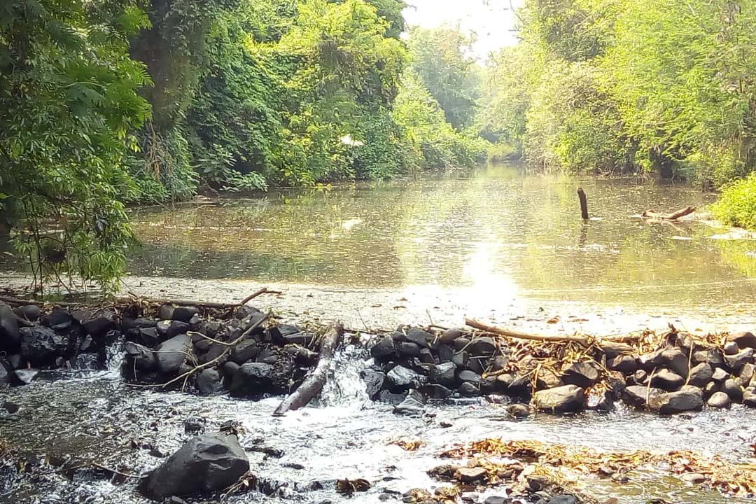 Calor, estiagem e consumo colocam em risco abastecimento no Sudoeste. Foto: Sanepar