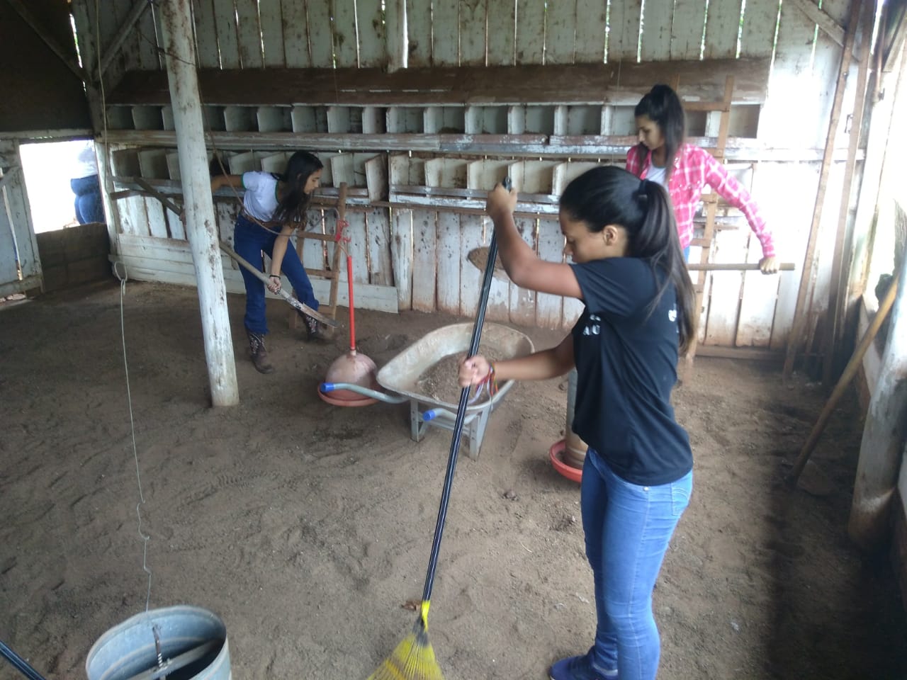 Colégios agrícolas superam desafios ainda maiores com ensino remoto. Foto:SEED