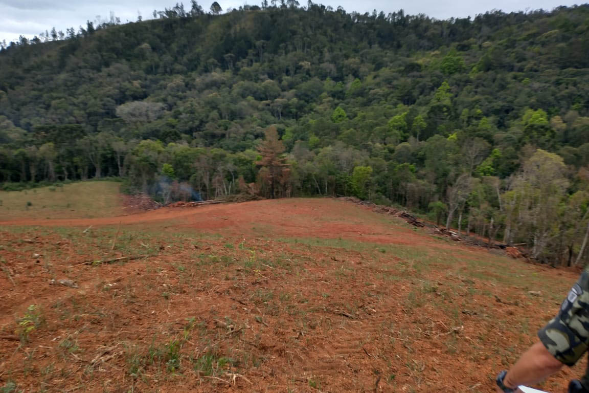 A quarta edição da Operação Mata Atlântica em Pé, organizada pelo Ministério Público, com apoio do Batalhão de Polícia Ambiental Força-Verde (BPAmb-FV), do Instituto Água e Terra (IAT) e do Ibama, foi encerrada após 14 dias de ações em todo o Paraná. Foto:SESP