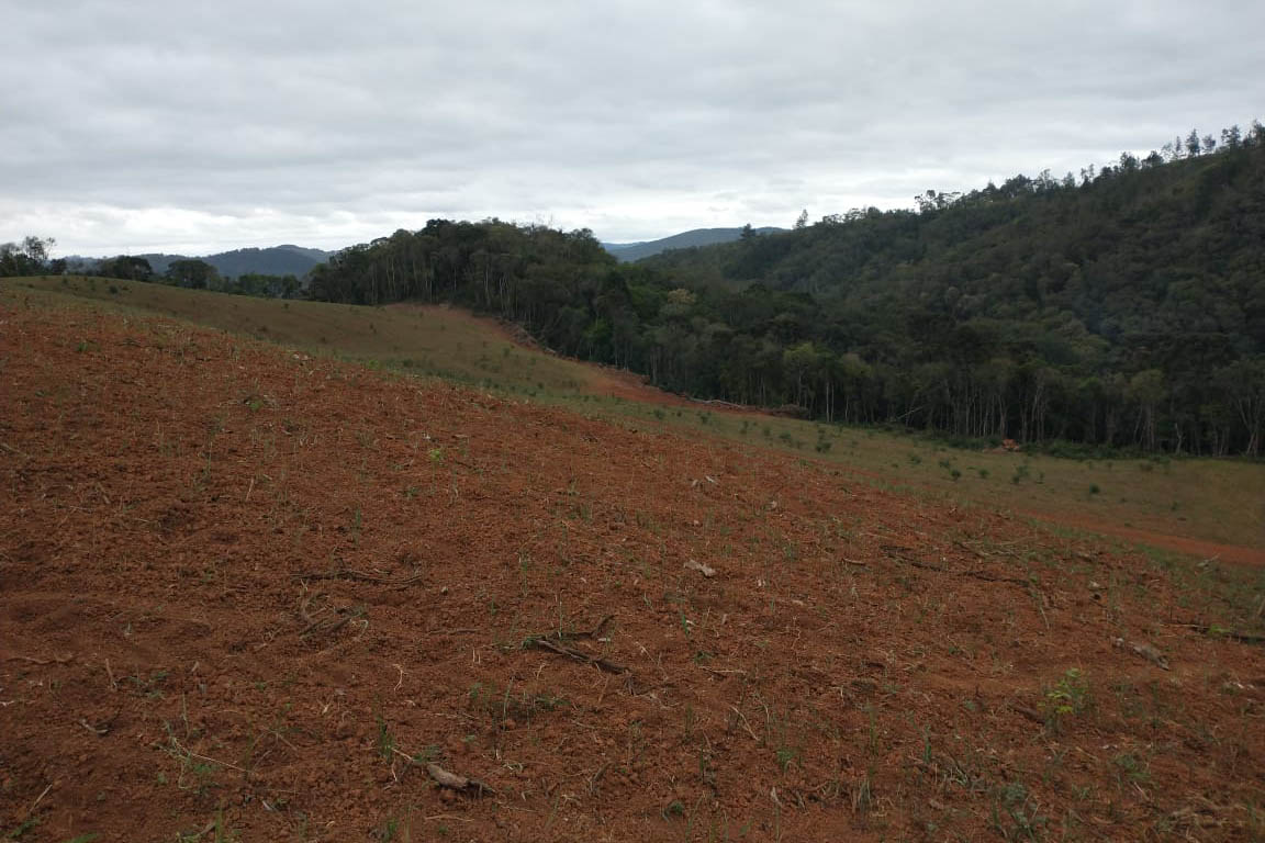 A quarta edição da Operação Mata Atlântica em Pé, organizada pelo Ministério Público, com apoio do Batalhão de Polícia Ambiental Força-Verde (BPAmb-FV), do Instituto Água e Terra (IAT) e do Ibama, foi encerrada após 14 dias de ações em todo o Paraná. Foto:SESP