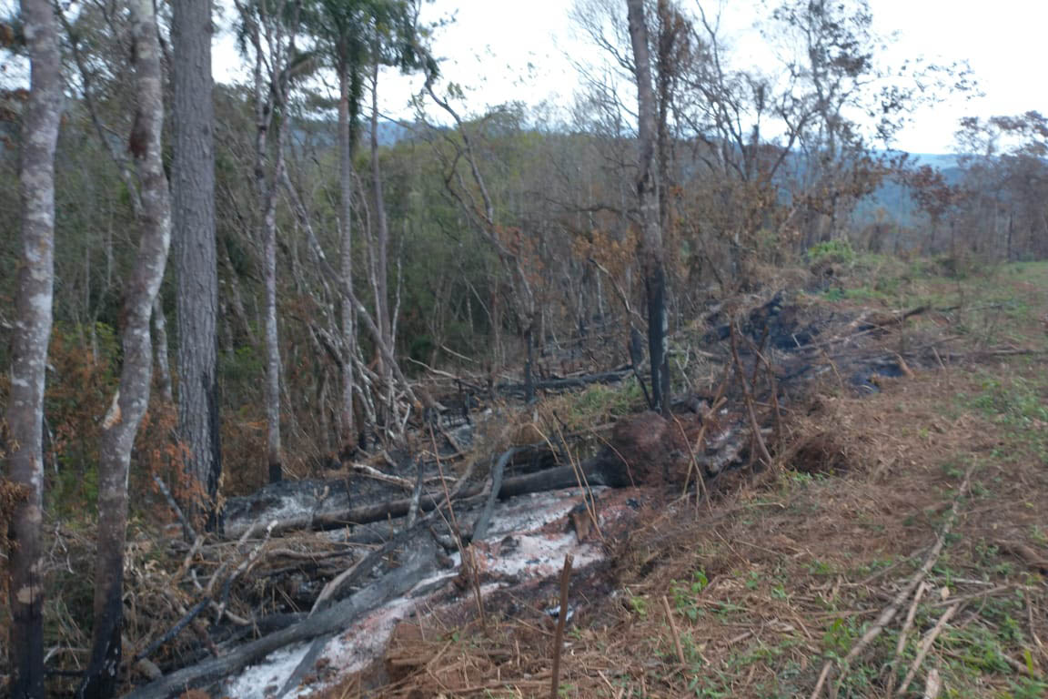 A quarta edição da Operação Mata Atlântica em Pé, organizada pelo Ministério Público, com apoio do Batalhão de Polícia Ambiental Força-Verde (BPAmb-FV), do Instituto Água e Terra (IAT) e do Ibama, foi encerrada após 14 dias de ações em todo o Paraná. Foto:SESP