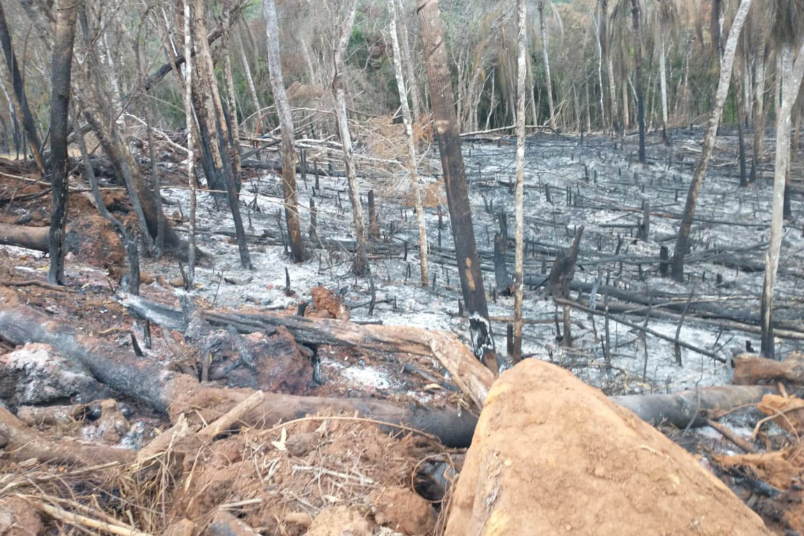 A quarta edição da Operação Mata Atlântica em Pé, organizada pelo Ministério Público, com apoio do Batalhão de Polícia Ambiental Força-Verde (BPAmb-FV), do Instituto Água e Terra (IAT) e do Ibama, foi encerrada após 14 dias de ações em todo o Paraná. Foto:SESP