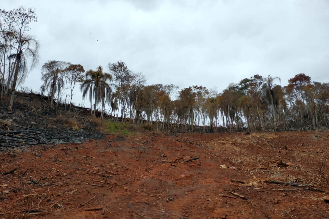 A quarta edição da Operação Mata Atlântica em Pé, organizada pelo Ministério Público, com apoio do Batalhão de Polícia Ambiental Força-Verde (BPAmb-FV), do Instituto Água e Terra (IAT) e do Ibama, foi encerrada após 14 dias de ações em todo o Paraná. Foto:SESP