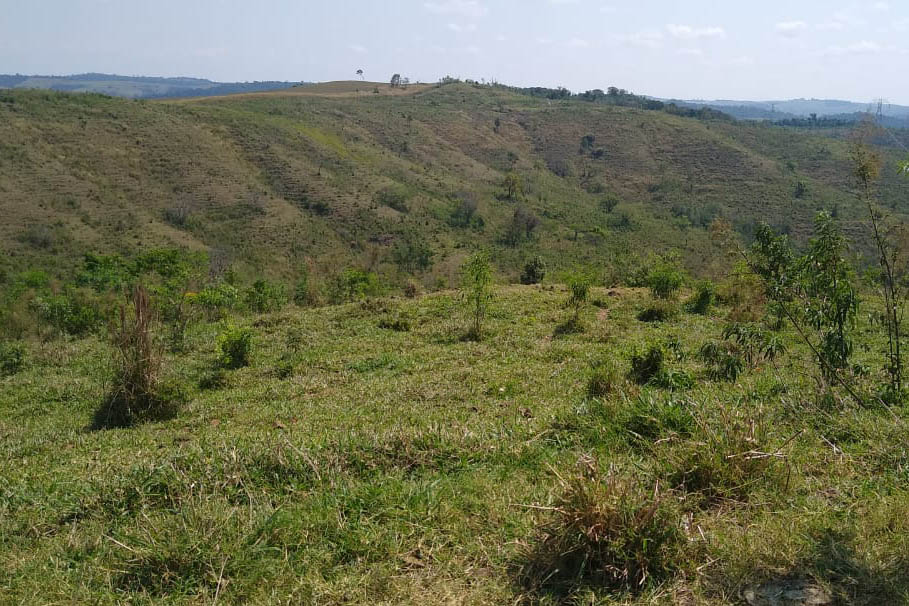 A quarta edição da Operação Mata Atlântica em Pé, organizada pelo Ministério Público, com apoio do Batalhão de Polícia Ambiental Força-Verde (BPAmb-FV), do Instituto Água e Terra (IAT) e do Ibama, foi encerrada após 14 dias de ações em todo o Paraná. Foto:SESP