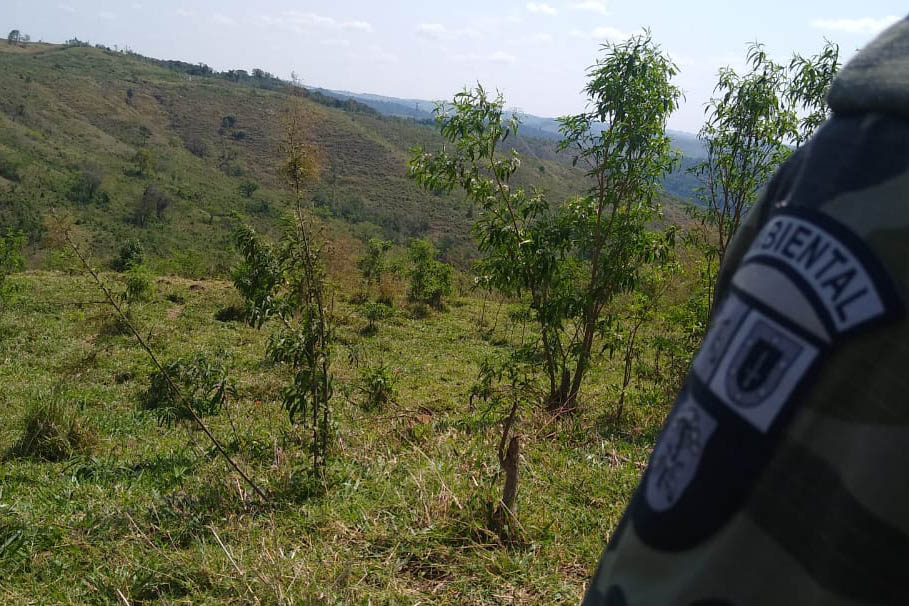 A quarta edição da Operação Mata Atlântica em Pé, organizada pelo Ministério Público, com apoio do Batalhão de Polícia Ambiental Força-Verde (BPAmb-FV), do Instituto Água e Terra (IAT) e do Ibama, foi encerrada após 14 dias de ações em todo o Paraná. Foto:SESP