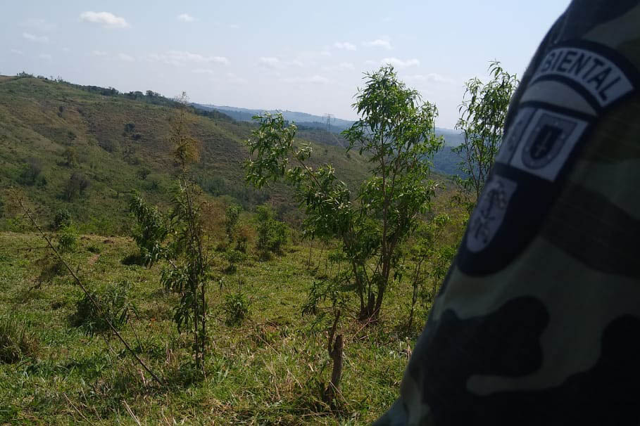 A quarta edição da Operação Mata Atlântica em Pé, organizada pelo Ministério Público, com apoio do Batalhão de Polícia Ambiental Força-Verde (BPAmb-FV), do Instituto Água e Terra (IAT) e do Ibama, foi encerrada após 14 dias de ações em todo o Paraná. Foto:SESP
