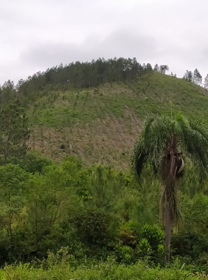 A quarta edição da Operação Mata Atlântica em Pé, organizada pelo Ministério Público, com apoio do Batalhão de Polícia Ambiental Força-Verde (BPAmb-FV), do Instituto Água e Terra (IAT) e do Ibama, foi encerrada após 14 dias de ações em todo o Paraná. Foto:SESP