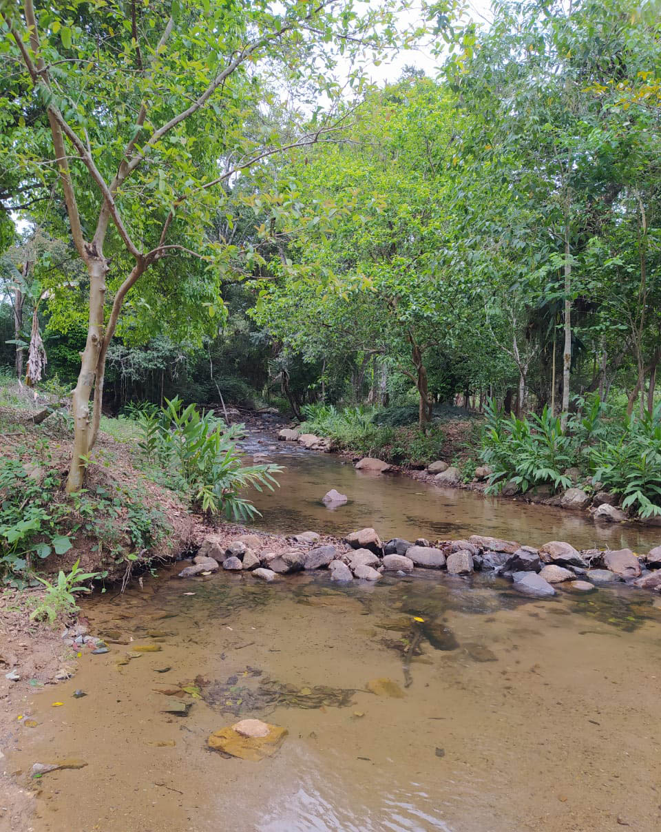 A quarta edição da Operação Mata Atlântica em Pé, organizada pelo Ministério Público, com apoio do Batalhão de Polícia Ambiental Força-Verde (BPAmb-FV), do Instituto Água e Terra (IAT) e do Ibama, foi encerrada após 14 dias de ações em todo o Paraná. Foto:SESP