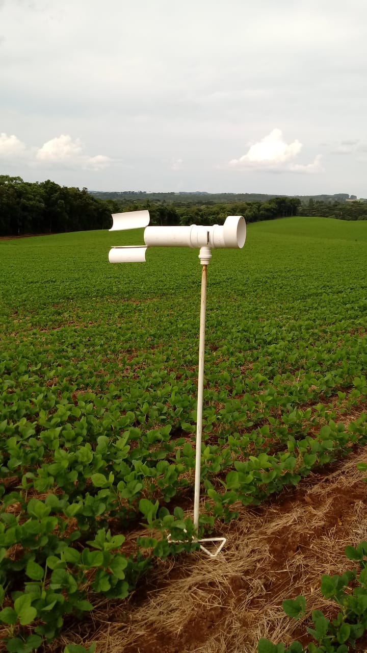 O Instituto de Desenvolvimento Rural do Paraná - Iapar-Emater (IDR-Paraná) inicia oficialmente nesta quinta-feira (15) o Alerta Ferrugem, serviço que monitora e informa sobre a ocorrência da ferrugem asiática em lavouras de soja nas regiões produtoras do Estado.Foto:SEAB