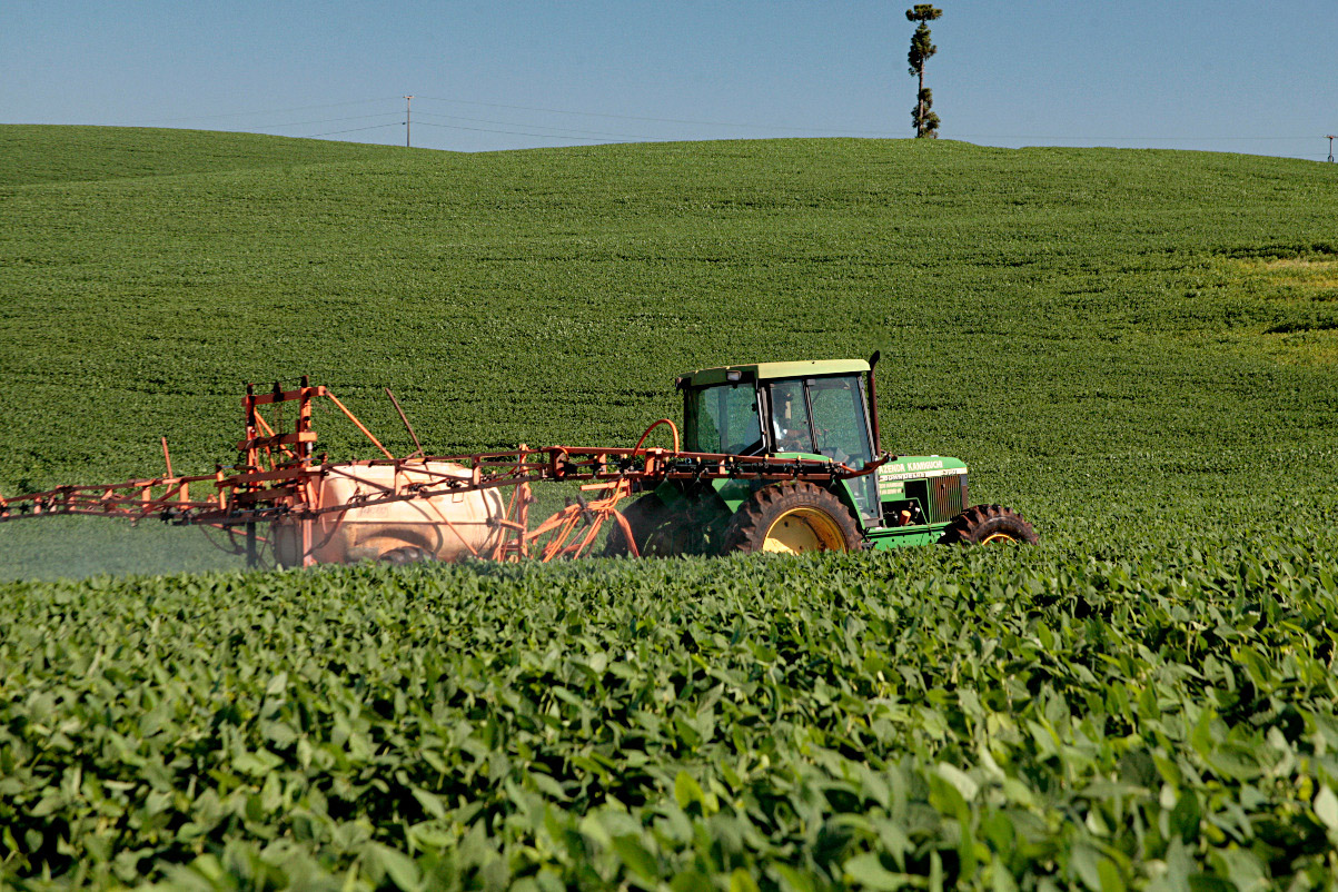 Adapar esclarece regras sobre o uso do Paraquat na safra 2020/21. Foto:SEAB