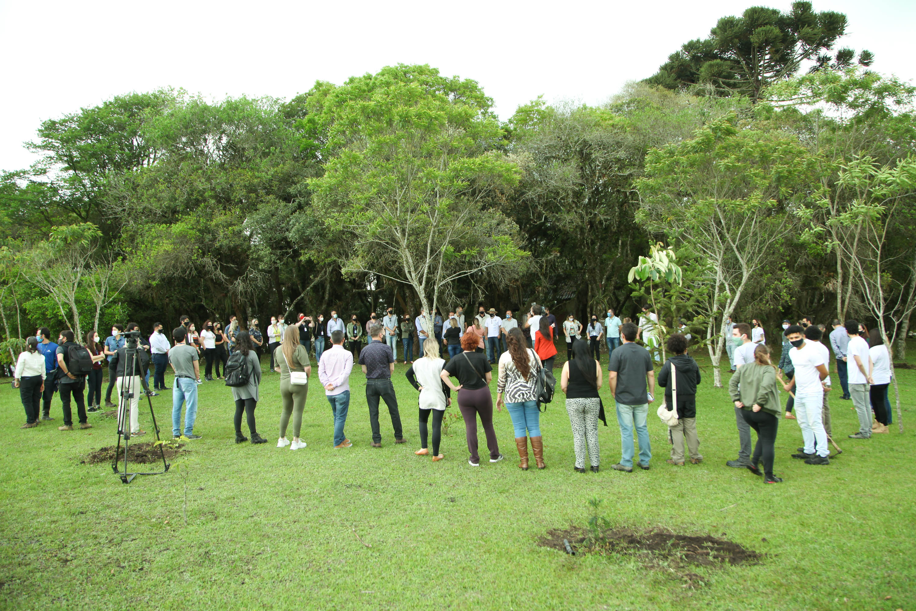 Governo do Estado faz plantio de mudas de araucária. Foto: Ari Dias/AEN