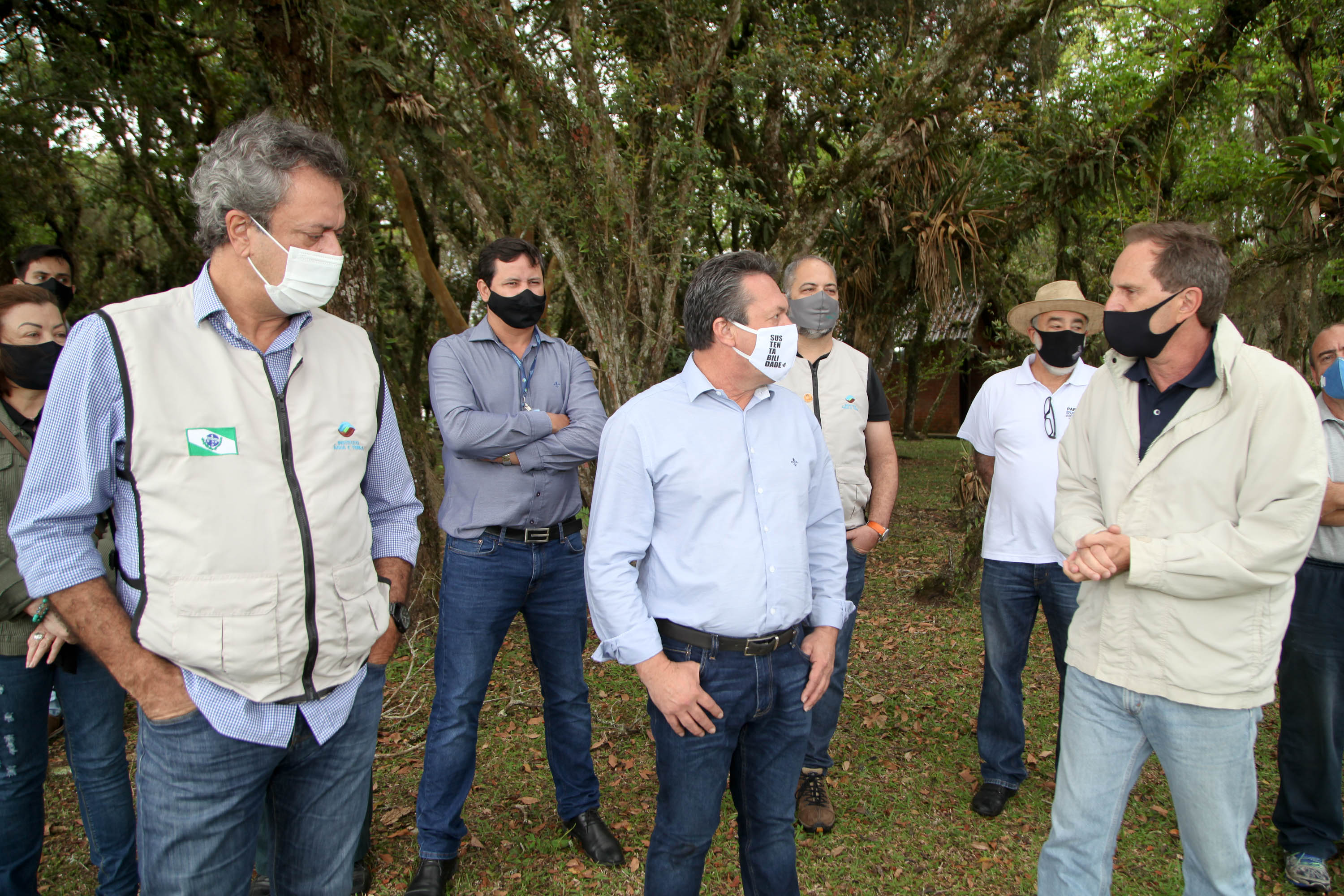 Governo do Estado faz plantio de mudas de araucária. Foto: Ari Dias/AEN