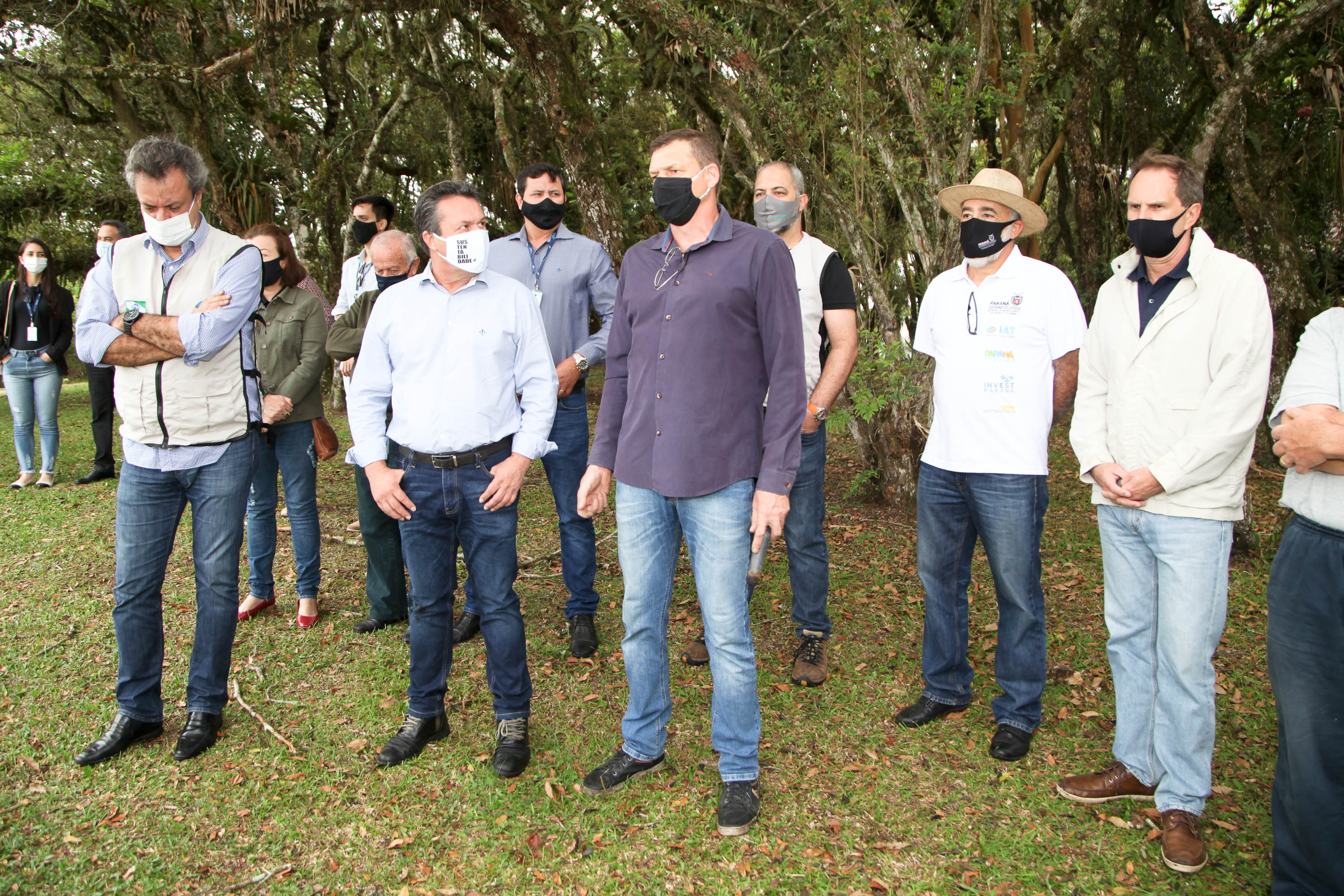 Governo do Estado faz plantio de mudas de araucário. Foto: Ari Dias/AEN