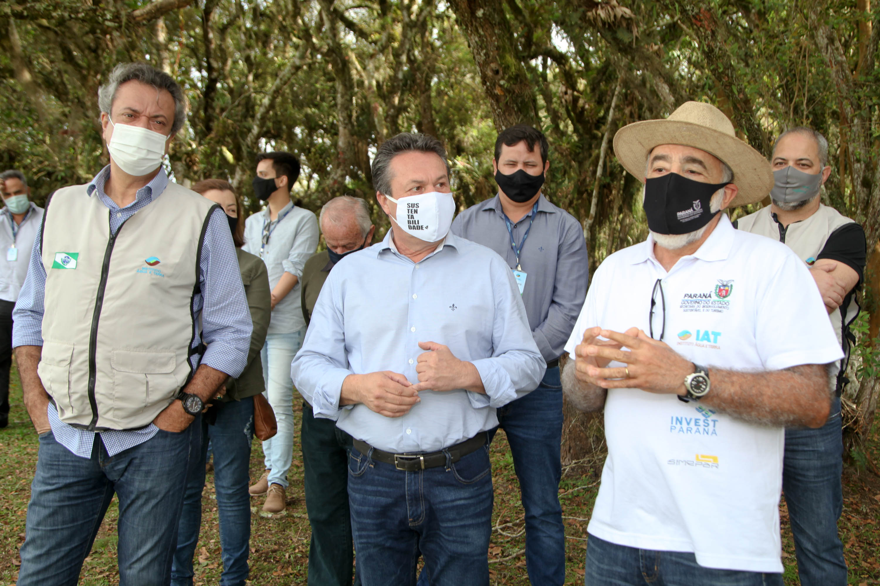 Governo do Estado faz plantio de mudas de araucária. Foto: Ari Dias/AEN