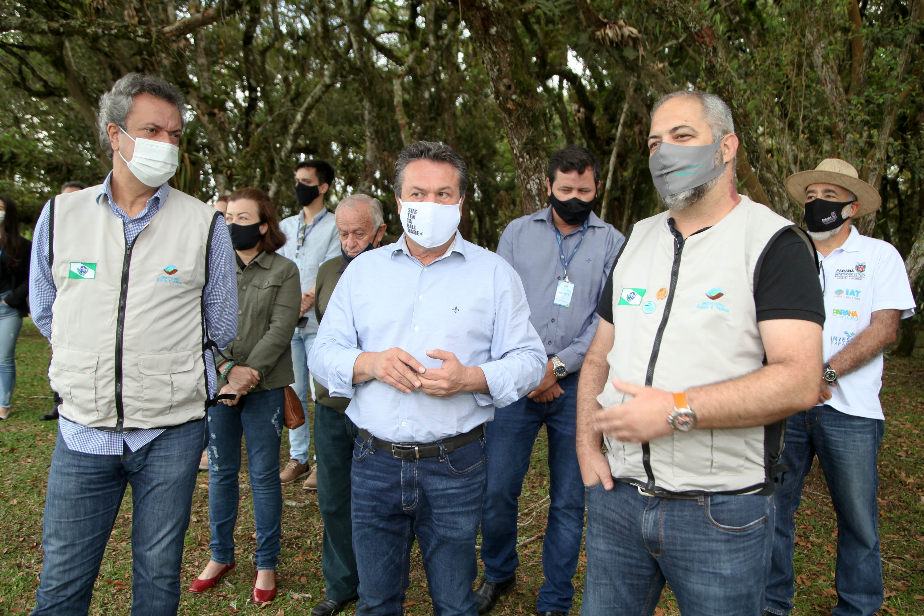 Governo do Estado faz plantio de mudas de araucária. Foto: Ari Dias/AEN