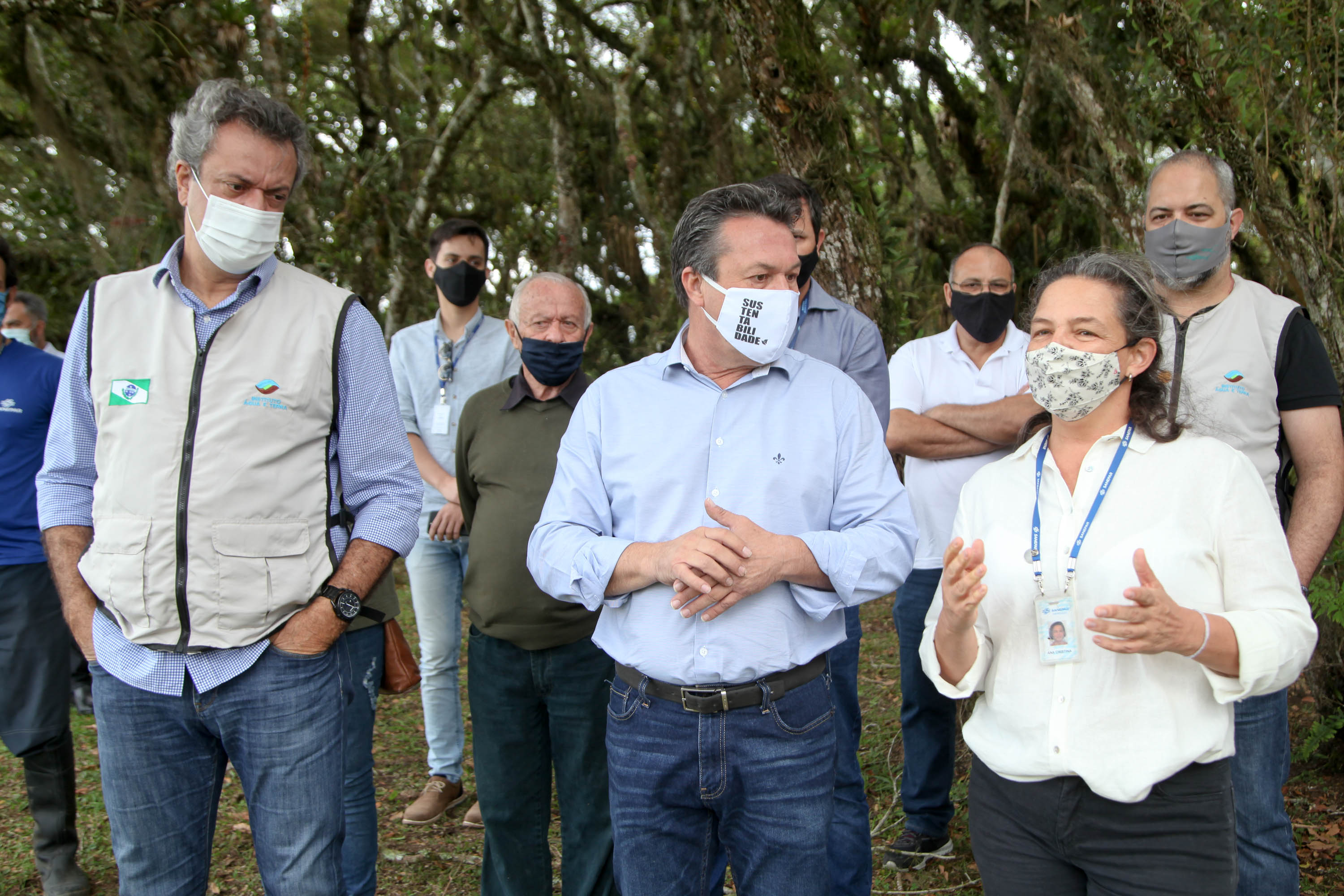 Governo do Estado faz plantio de mudas de araucária. Foto: Ari Dias/AEN