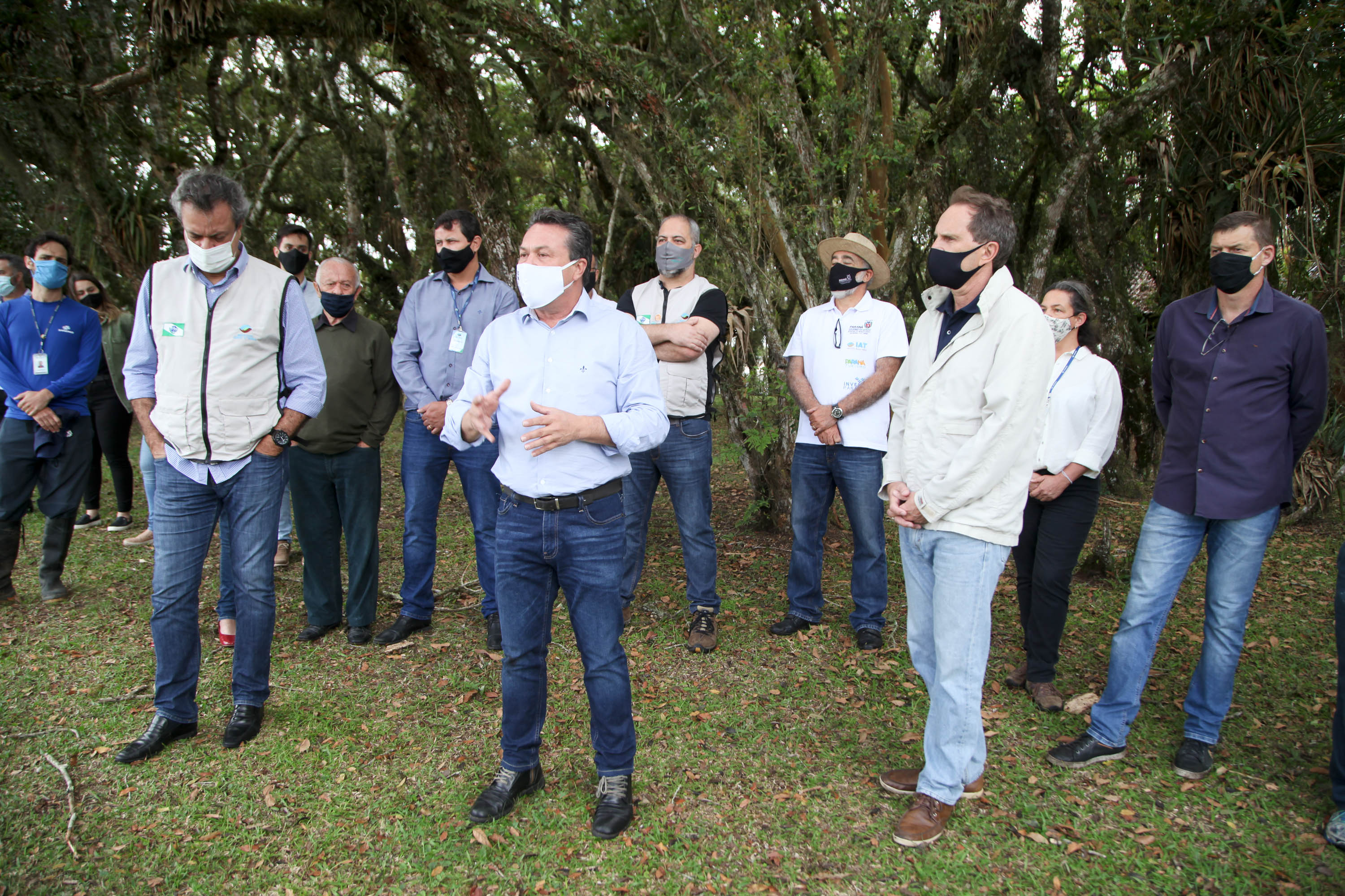 Governo do Estado faz plantio de mudas de araucária. Foto: Ari Dias/AEN