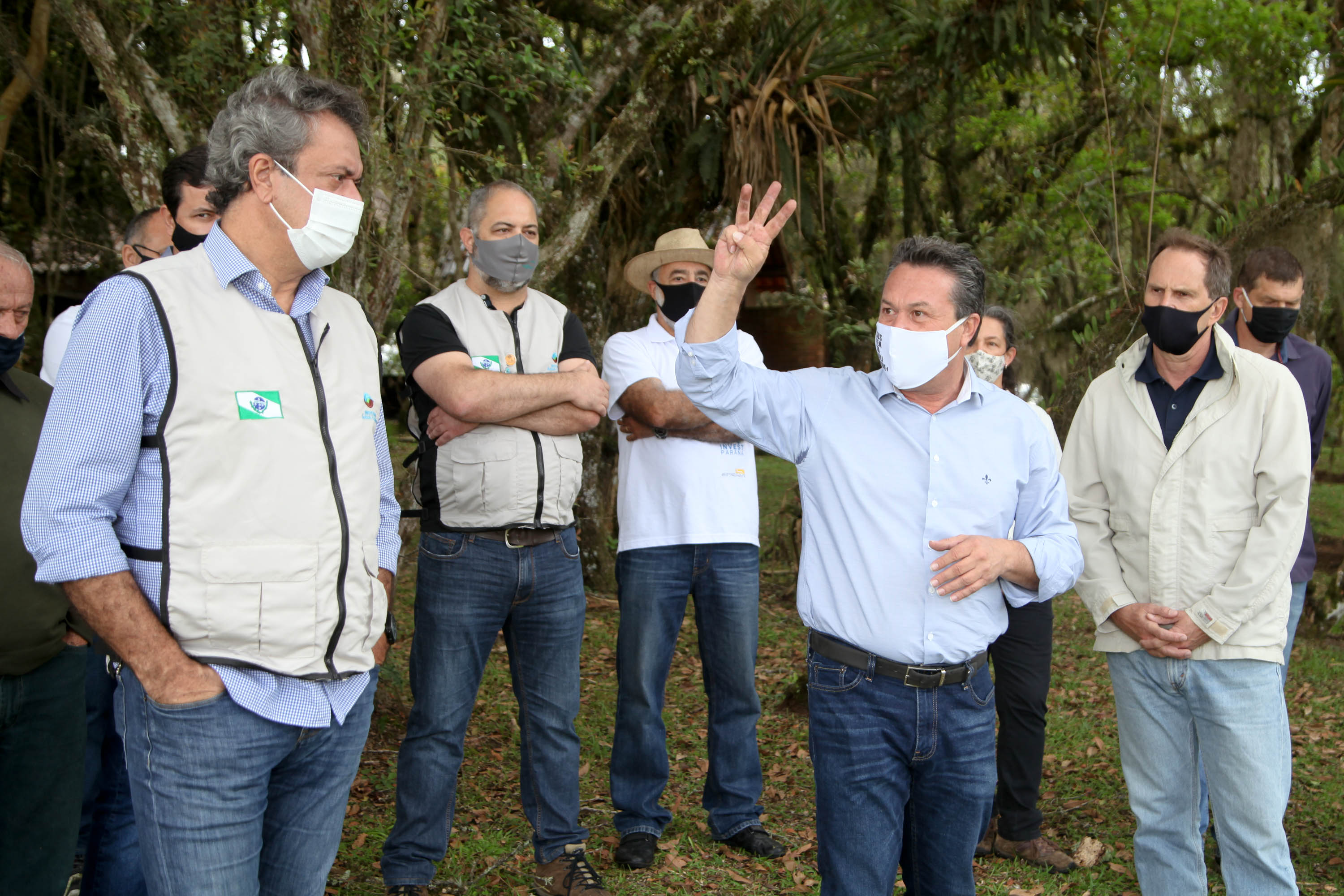 Governo do Estado faz plantio de mudas de araucária. Foto: Ari Dias/AEN