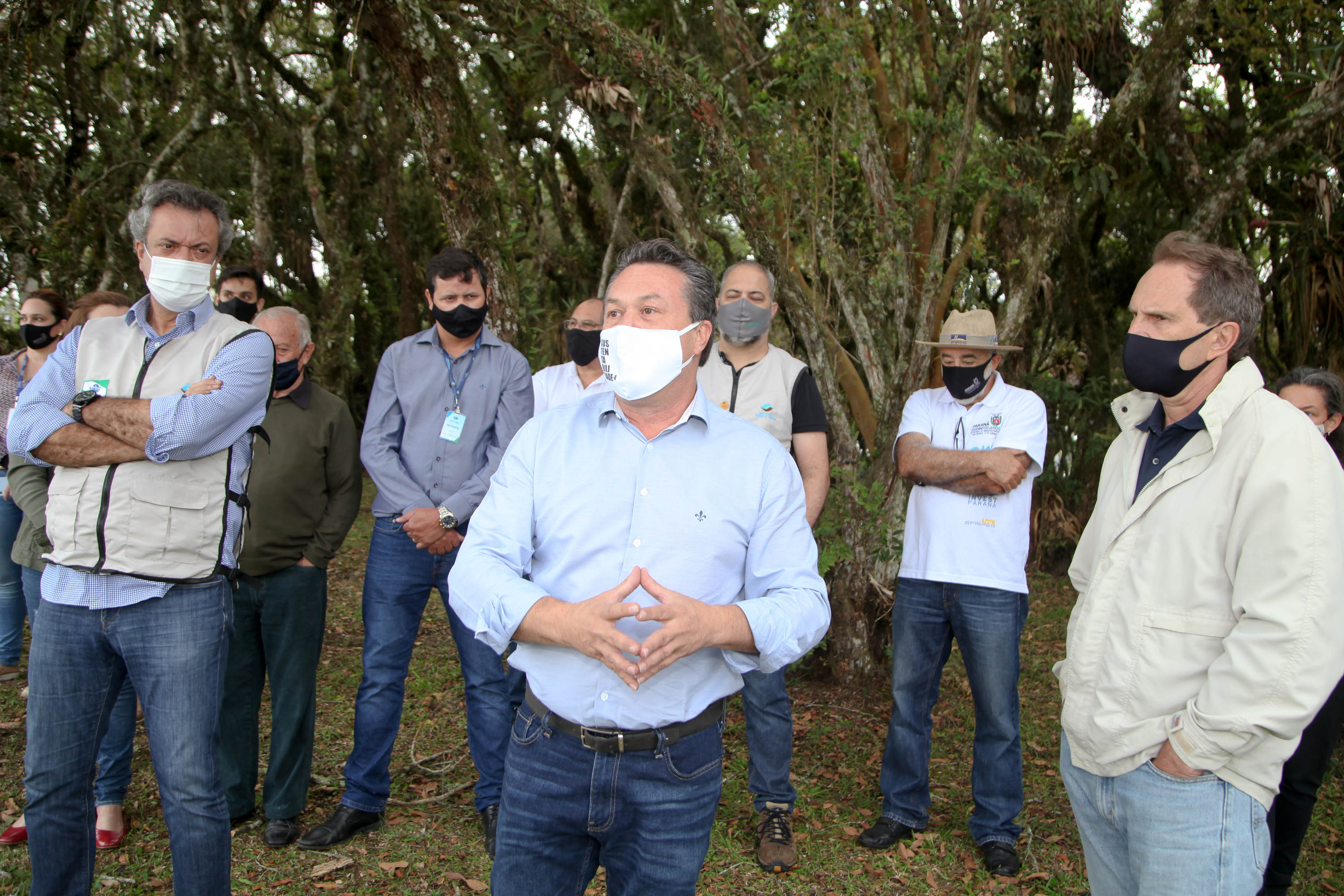 Governo do Estado faz plantio de mudas de araucária. Foto: Ari Dias/AEN