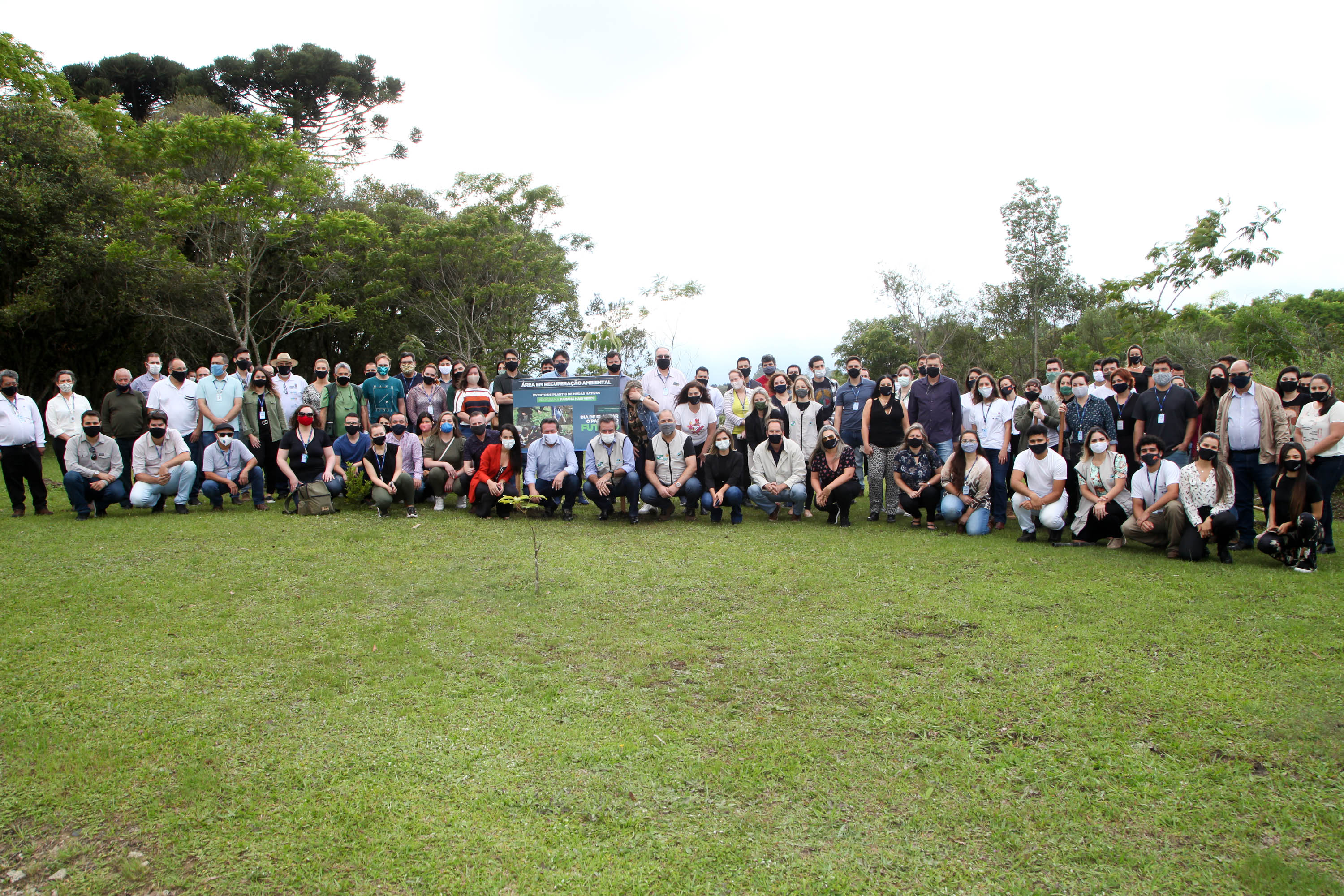 Governo do Estado faz plantio de mudas de araucária. Foto: Ari Dias/AEN
