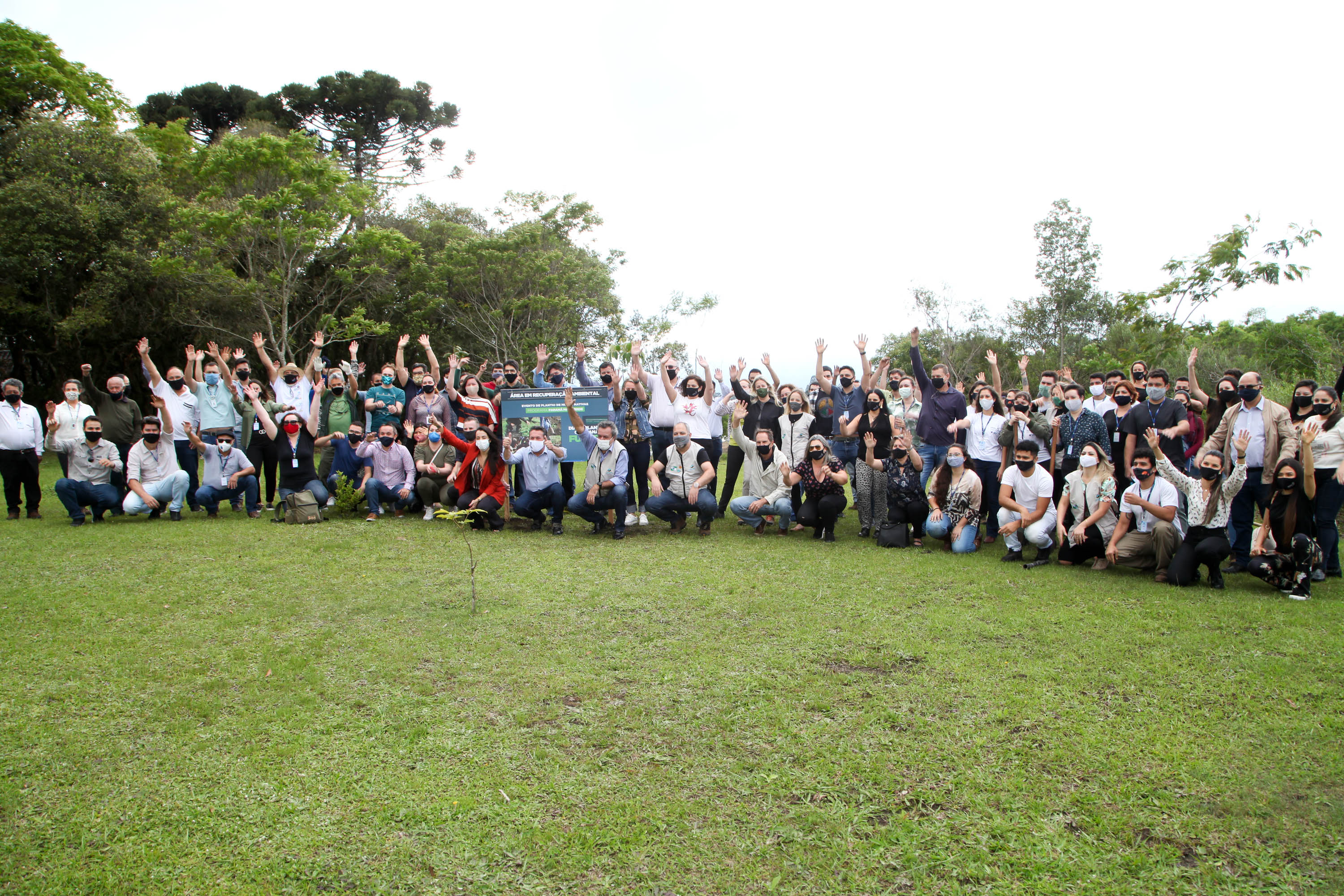 Governo do Estado faz plantio de mudas de araucária. Foto: Ari Dias/AEN