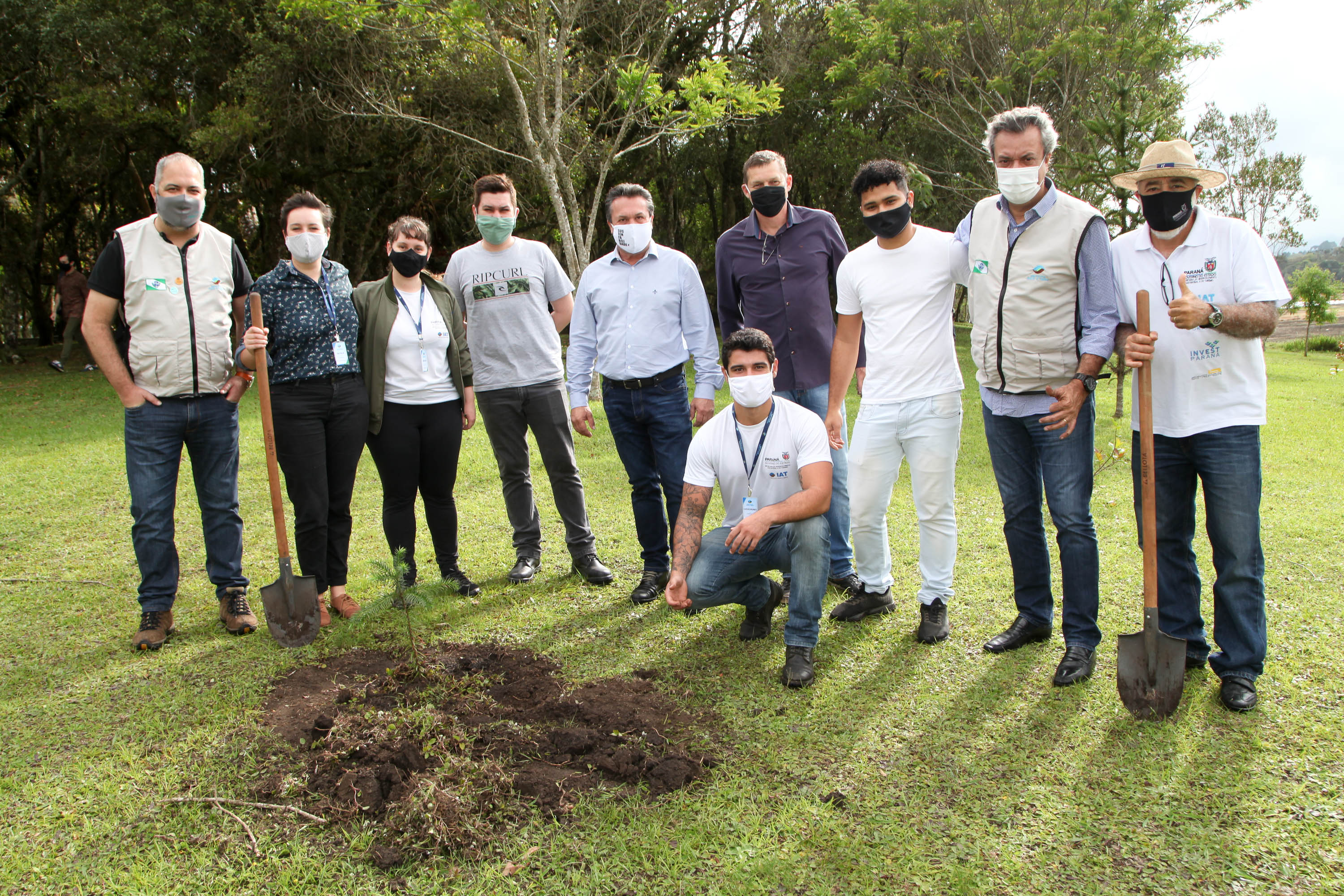Governo do Estado faz plantio de mudas de araucária. Foto: Ari Dias/AEN