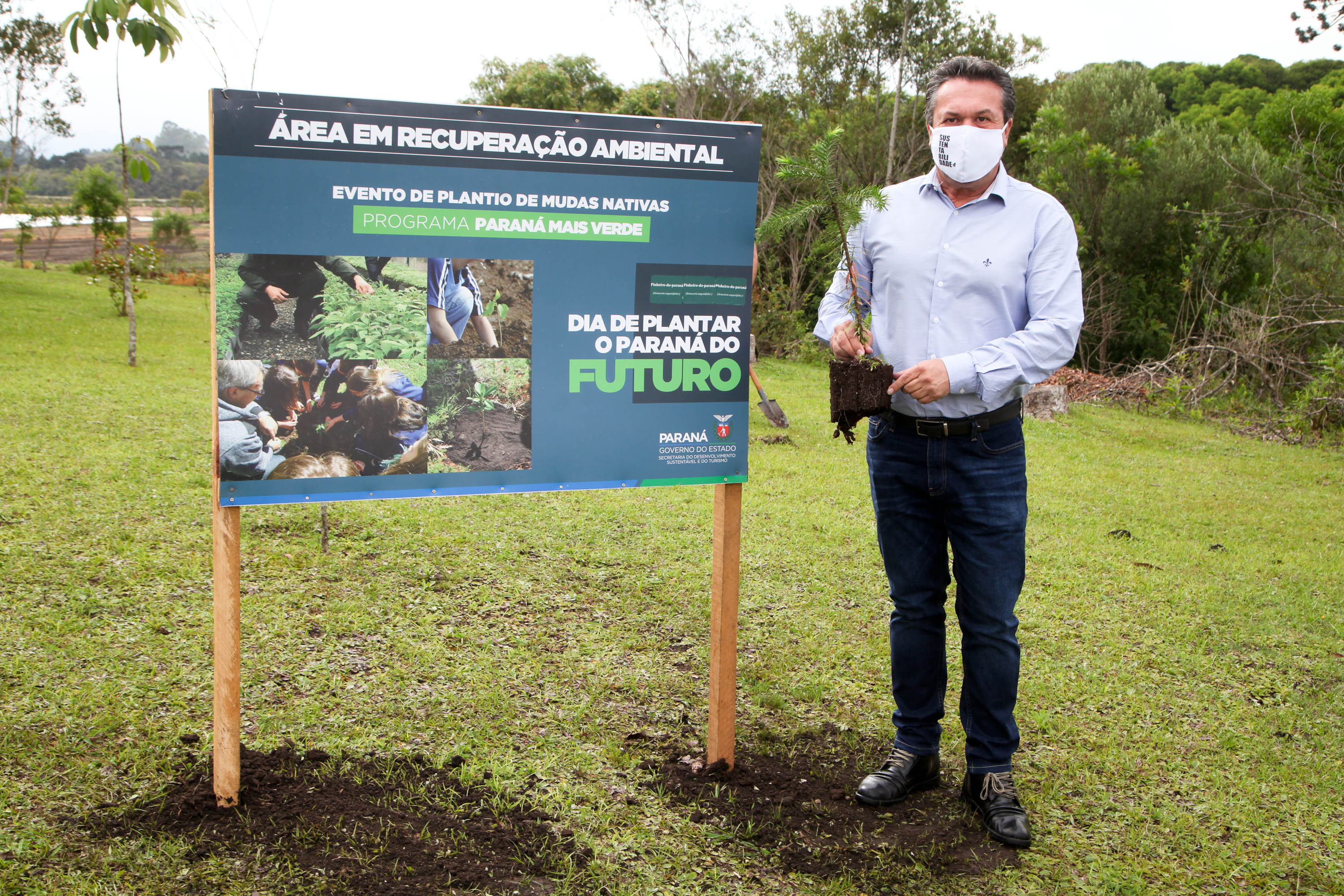 Governo do Estado faz plantio de mudas de araucária. Foto: Ari Dias/AEN
