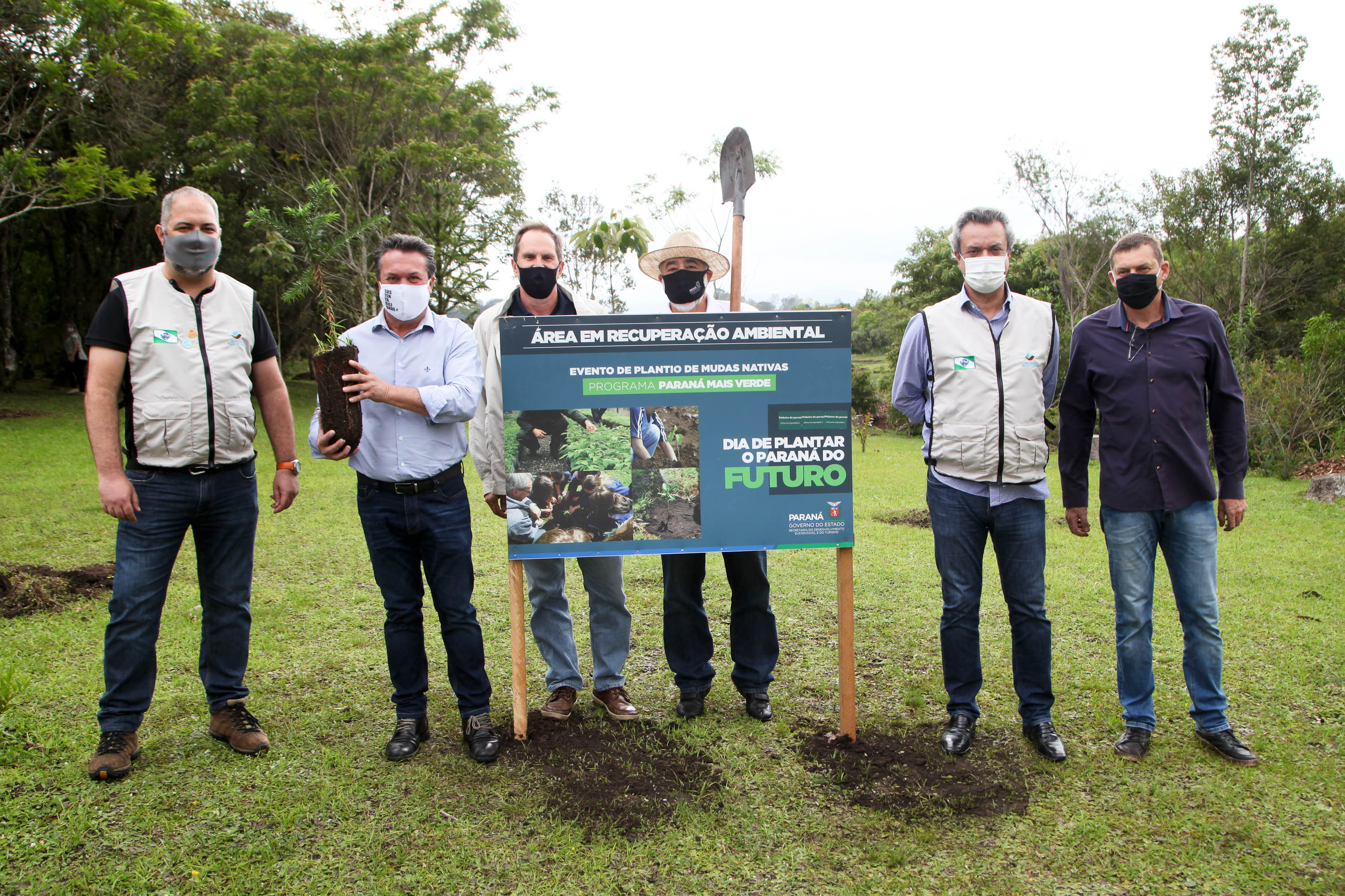 Governo do Estado faz plantio de mudas de araucária. Foto: Ari Dias/AEN