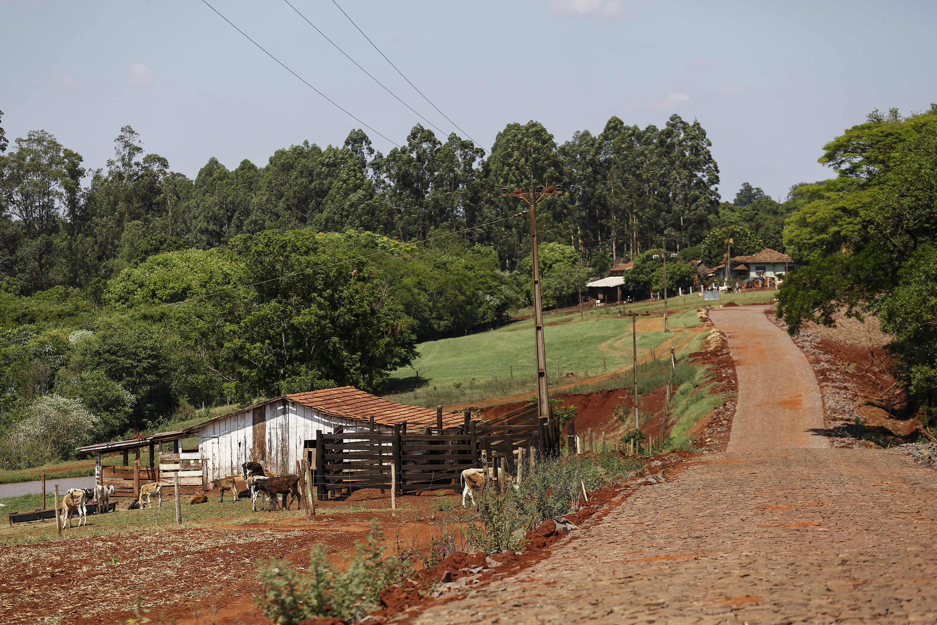 Maripá - 21-10-2020 - Pavimentação da Estrada Municipal MR 200 em Maripá - Foto : Jonathan Campos / AEN