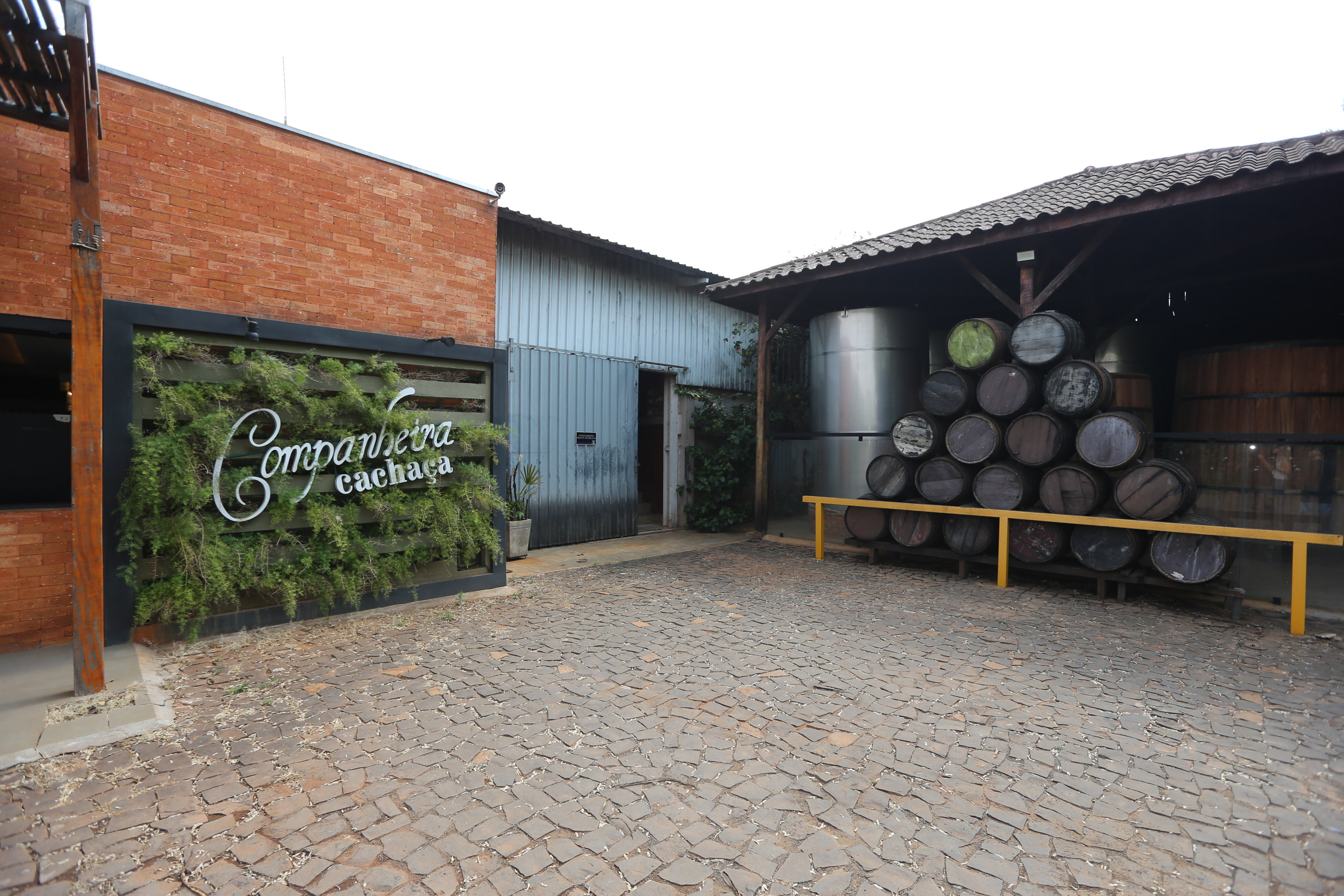 FEITO NO PARANA - Cachaça Companheira Melhor Cachaça Extra Premium do Brasil. Eleita pelo IV Ranking da Cúpula da Cachaça. Considerada a Cachaça do ano de 2020 por atingir a maior pontuação entre todas as 50 finalistas do Ranking.Jandaia do Sul - 06/10/2020 - Foto: Geraldo Bubniak/AEN