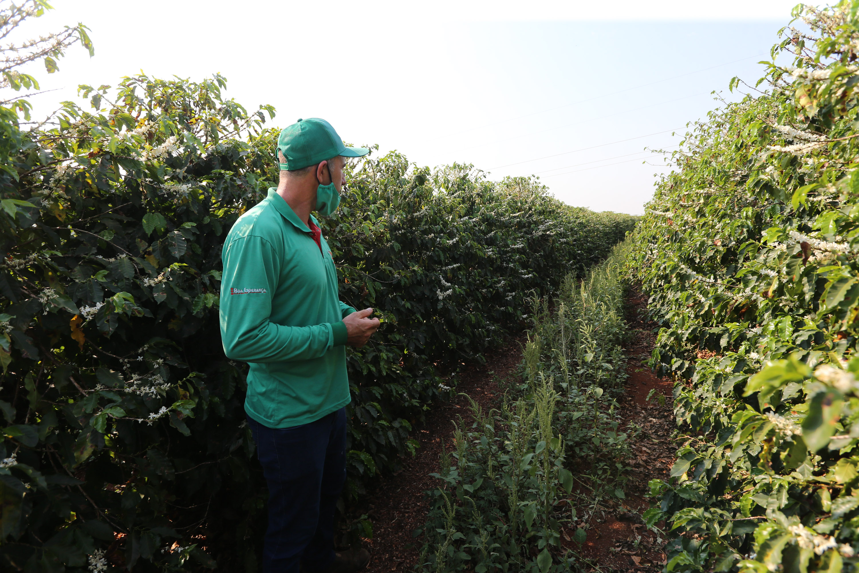 FEITO NO PARANA - Fabrica do Café Bela Esperança da cidade de Mandaguari.06/10/2020 - Foto: Geraldo Bubniak/AEN
