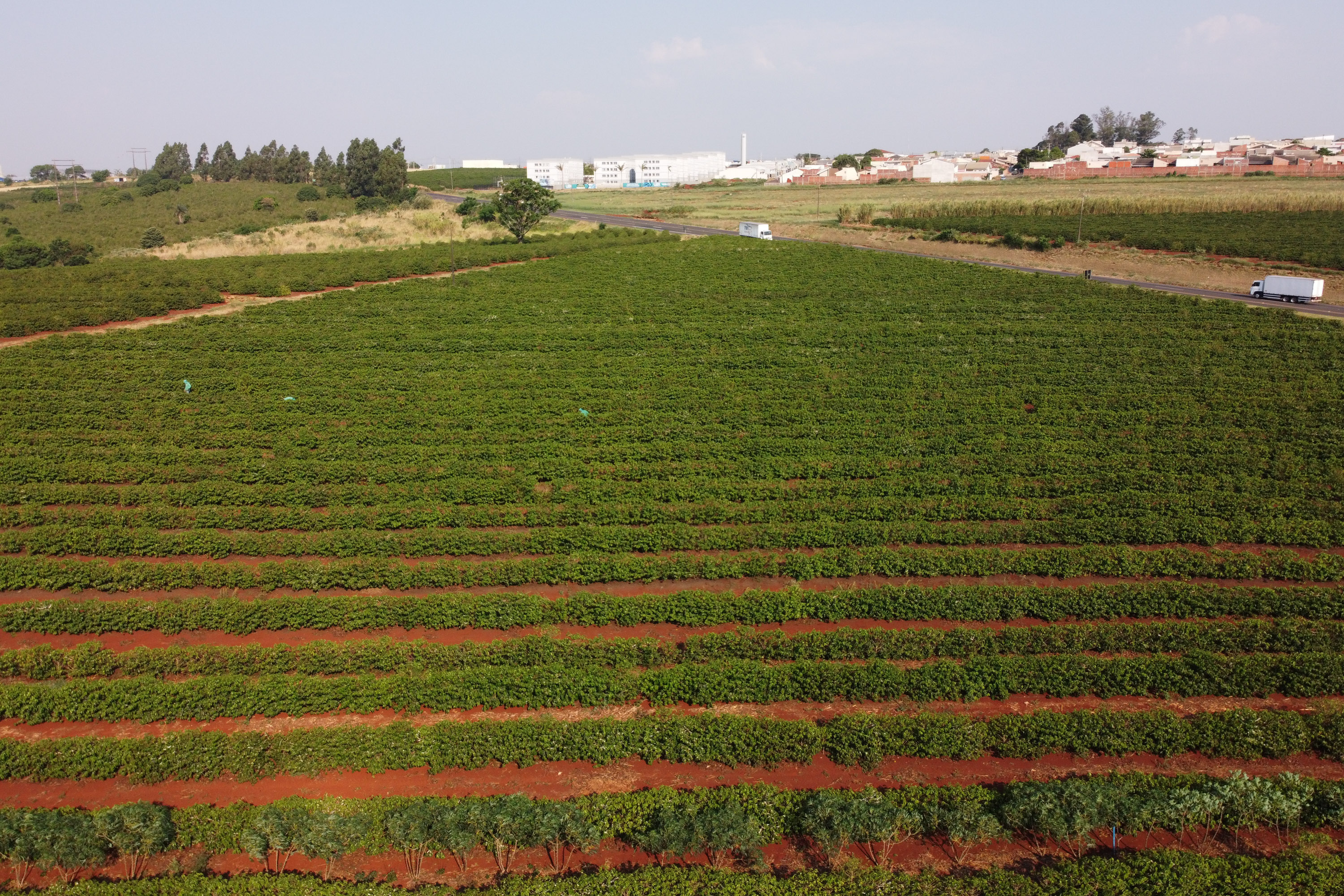 FEITO NO PARANA - Fabrica do Café Bela Esperança da cidade de Mandaguari.06/10/2020 - Foto: Geraldo Bubniak/AEN