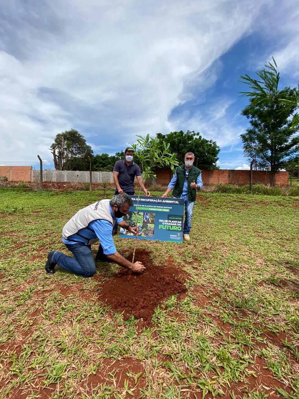 Com mudas do IAT, Parque das Torres é reflorestado em Campo Mourão. Foto: IAT