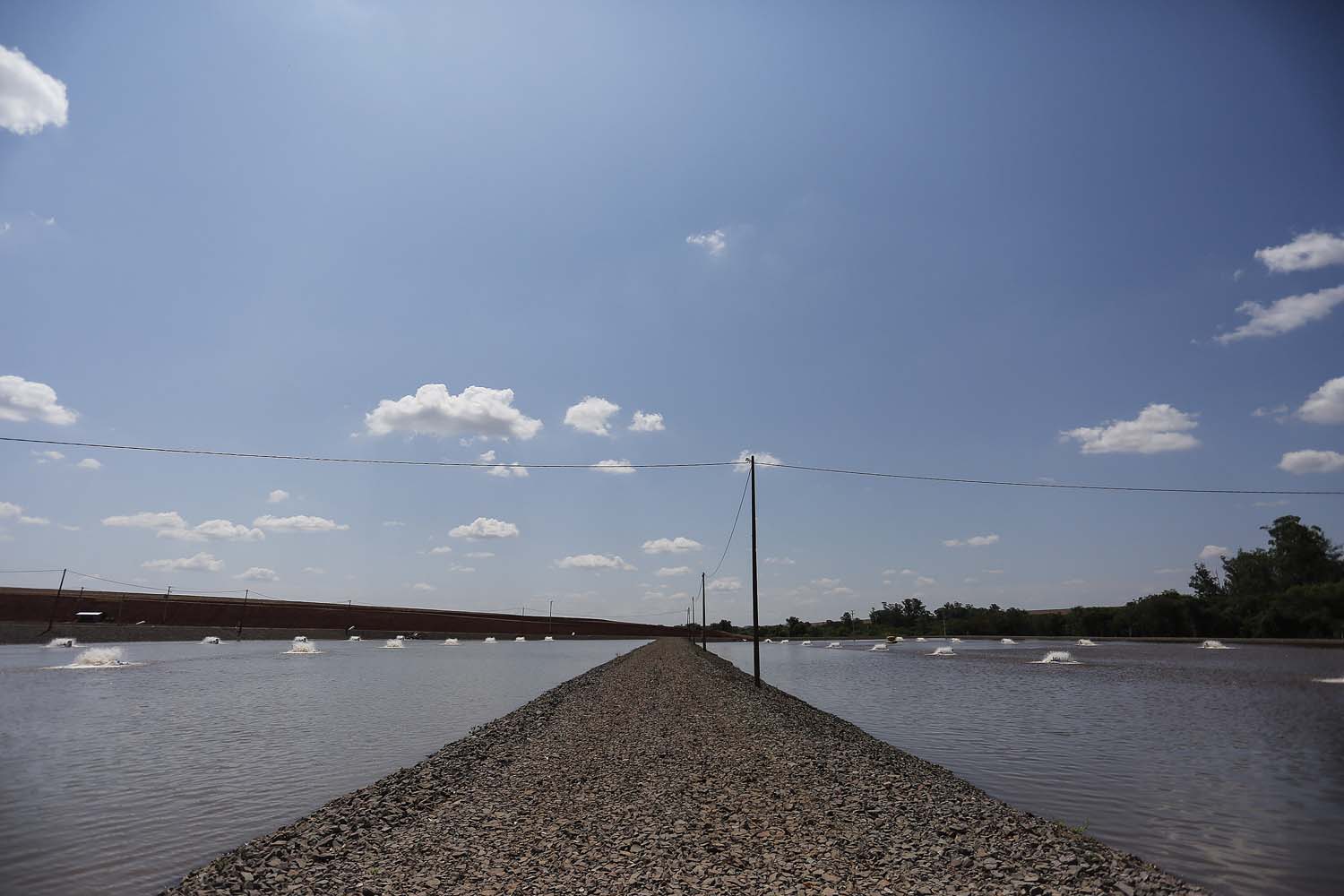 Palotina - 10-10-2020 - Produtor de Tilapia  Paulo Alexandre Borba Michelon  - Foto : Jonathan Campos / AEN