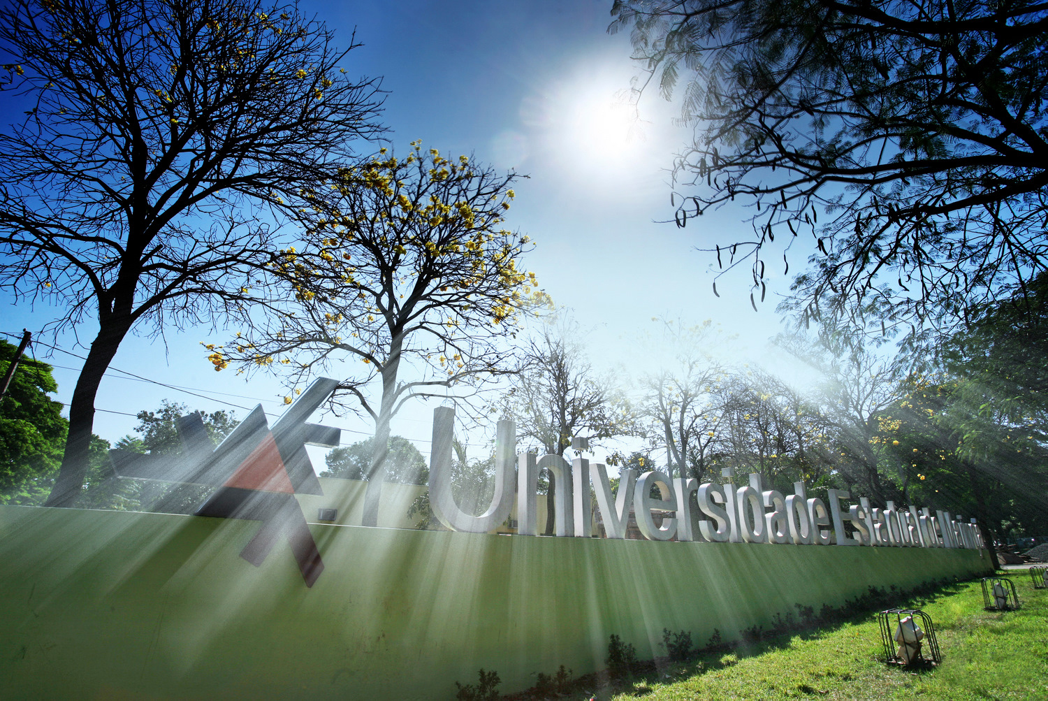 Universidade Estadual de Maringá conquista 11 patentes em 2020. Foto: Uem