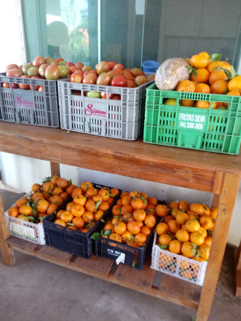 Foto: Marcelo Agenciano de Freitas/IDR