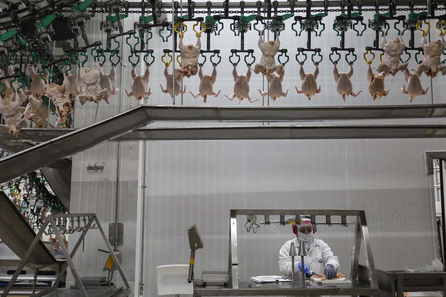 Matelândia- 22-10-2020 - Abatedouro de aves da cooperativa lar em Matelândia - Foto : Jonathan Campos / AEN