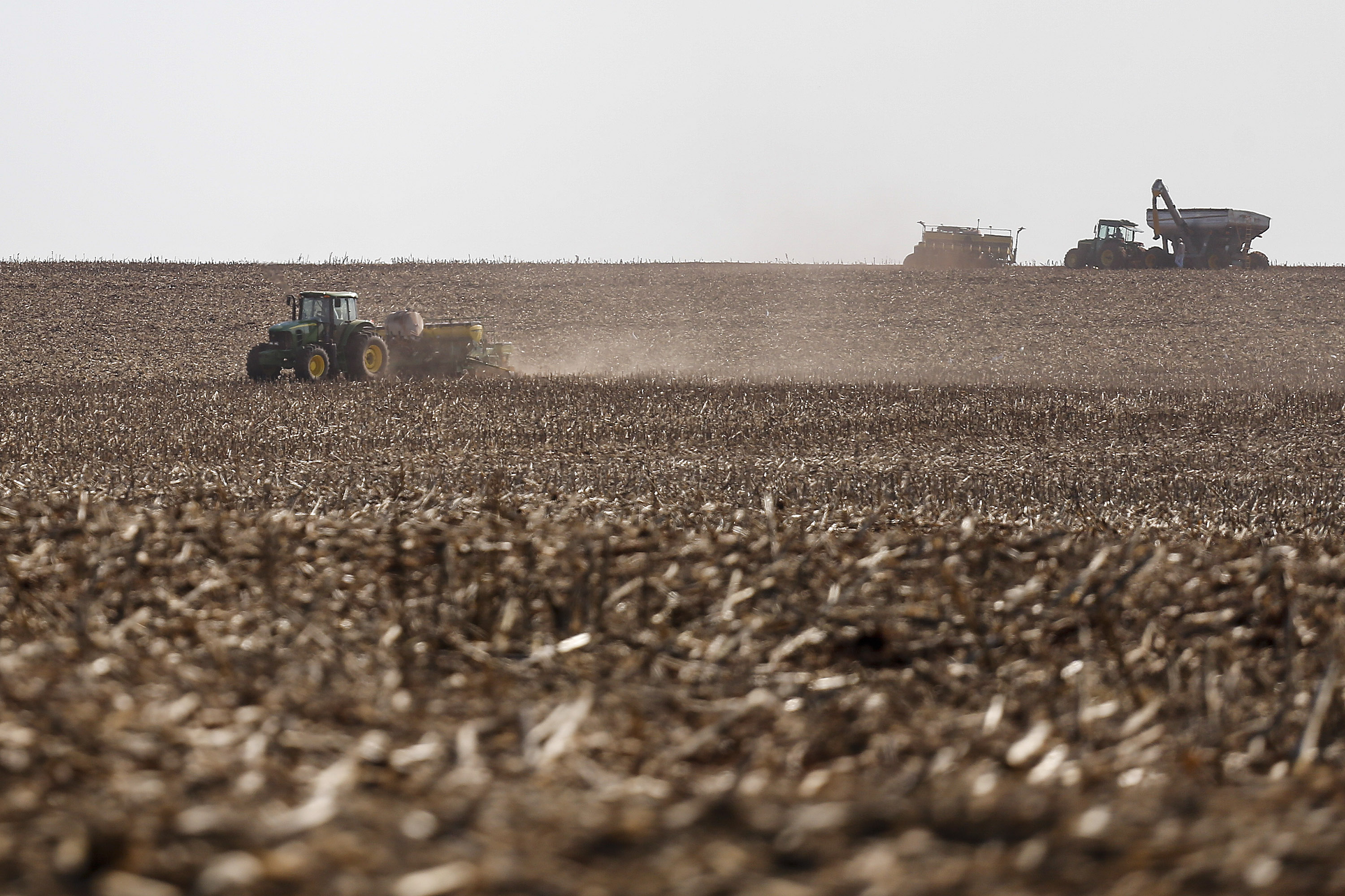 O Paraná está encerrando o plantio de várias culturas dentro da temporada 2020/21, entre elas soja e as primeiras safras de milho, feijão e batata. Foto: Jonathan Campos/AEN
